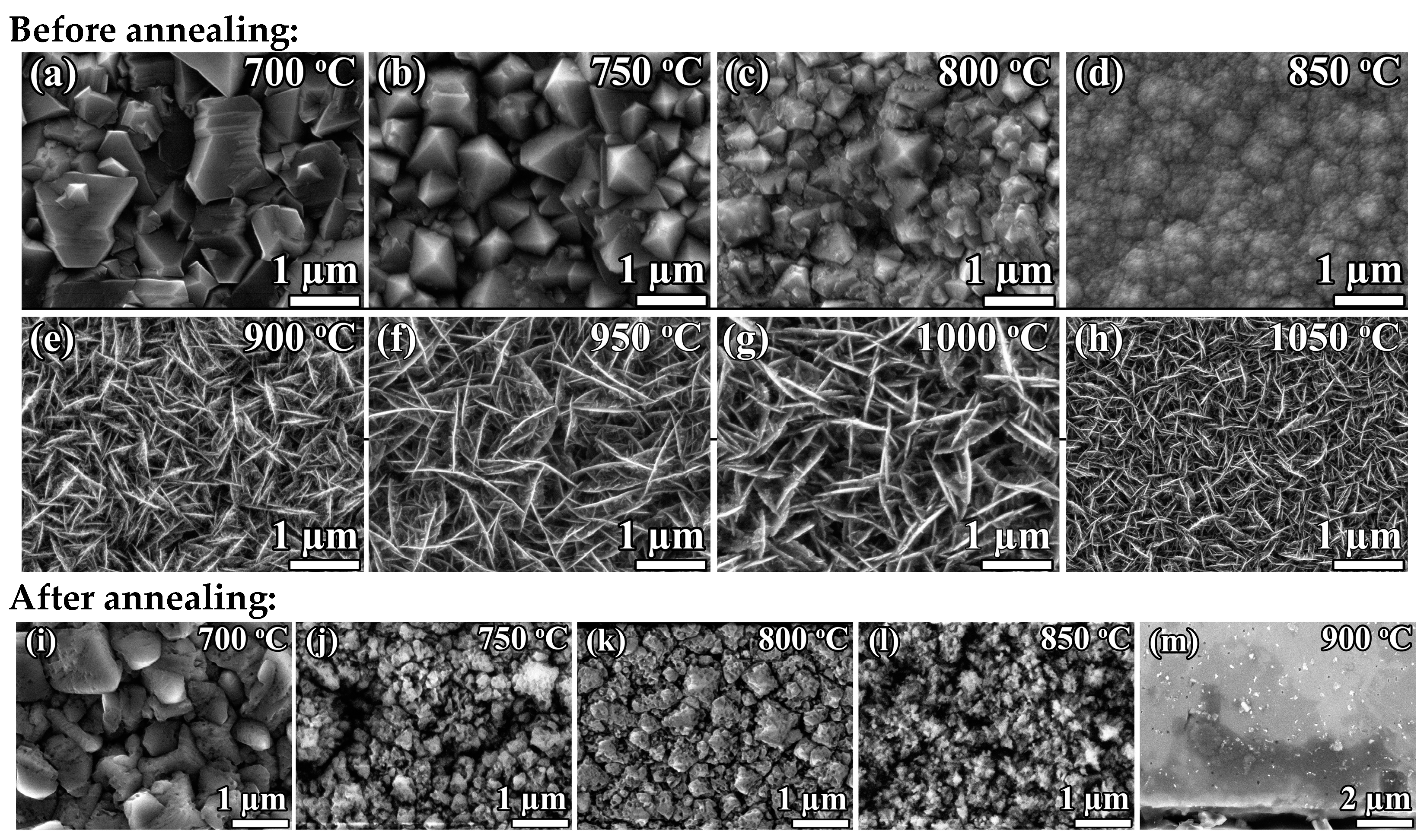 Coatings 13 00751 g001