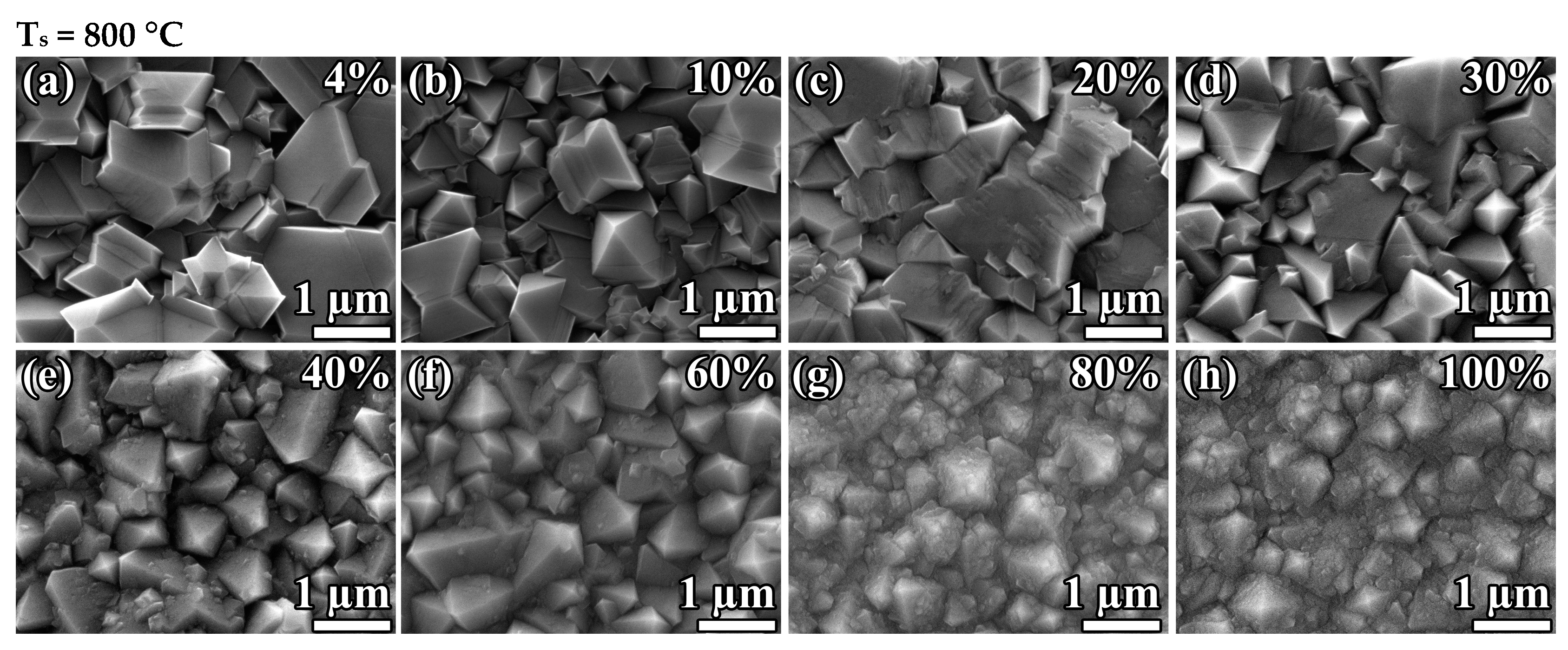 Coatings 13 00751 g002a
