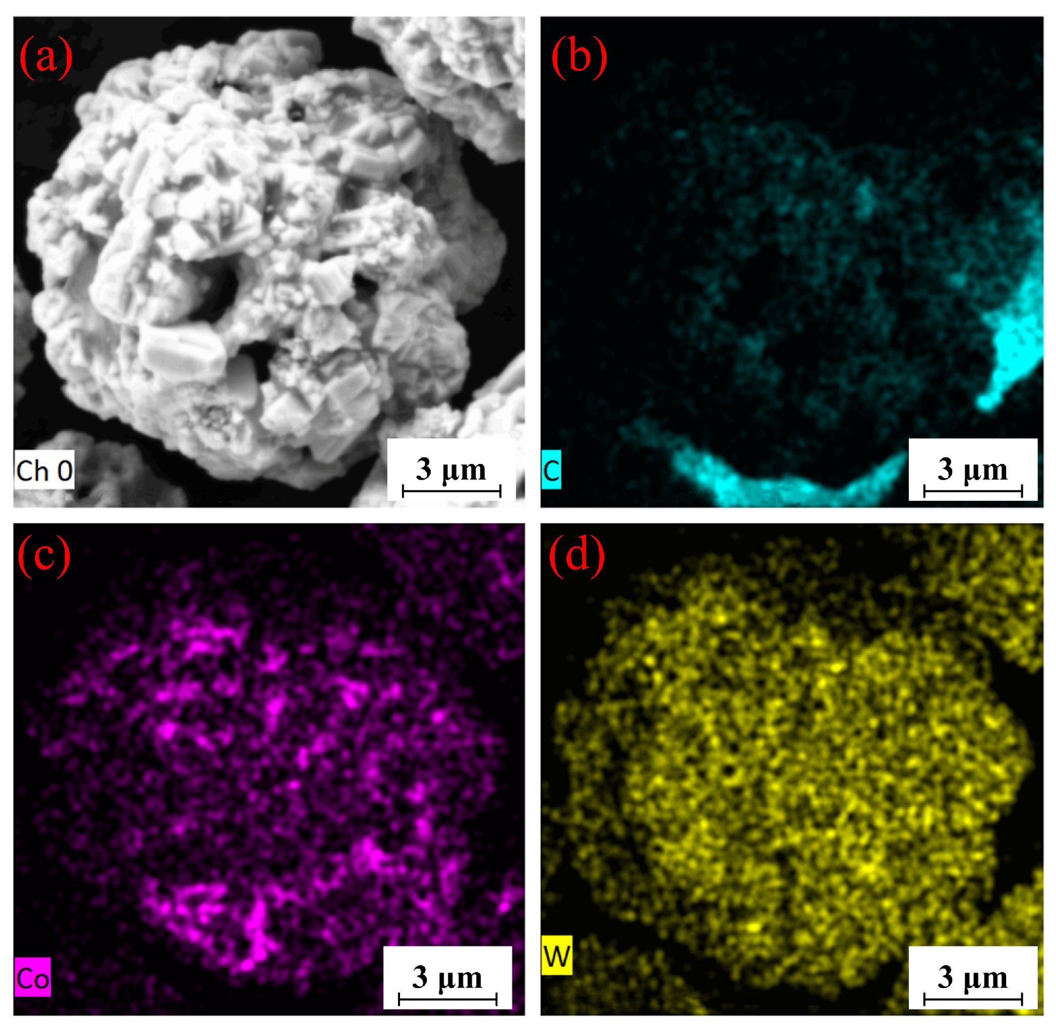 Coatings 13 00755 g008
