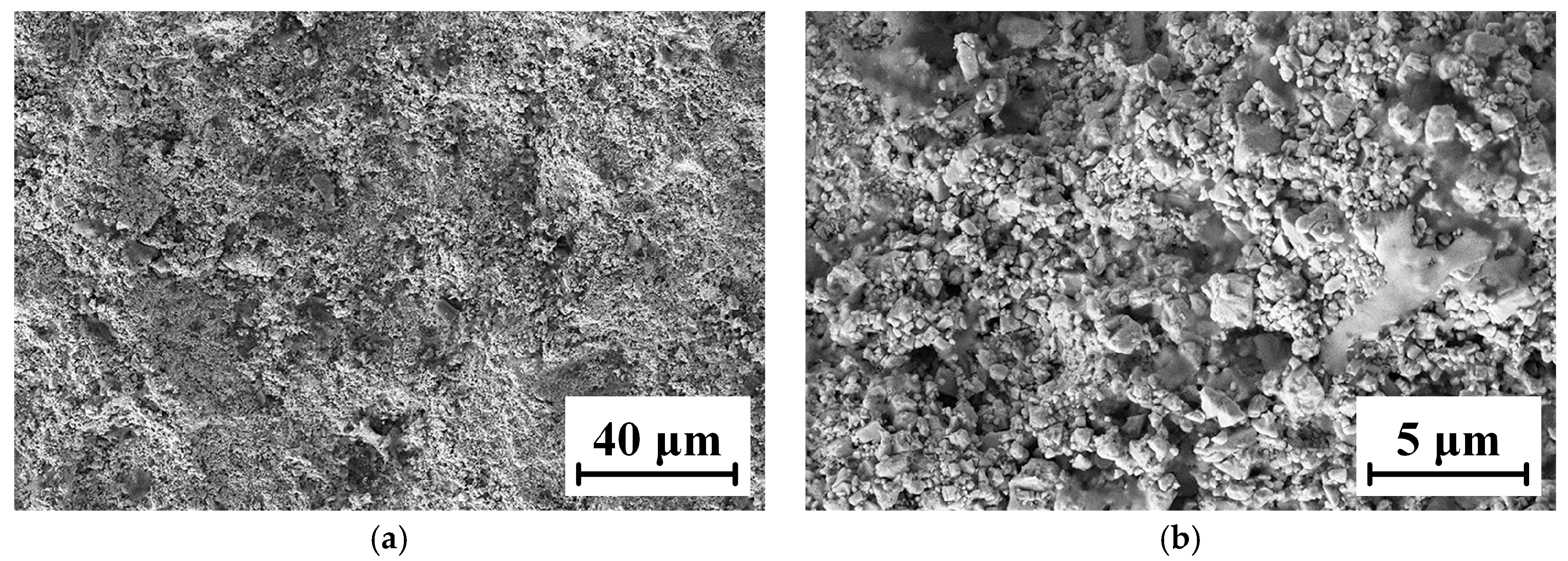 Coatings 13 00755 g010