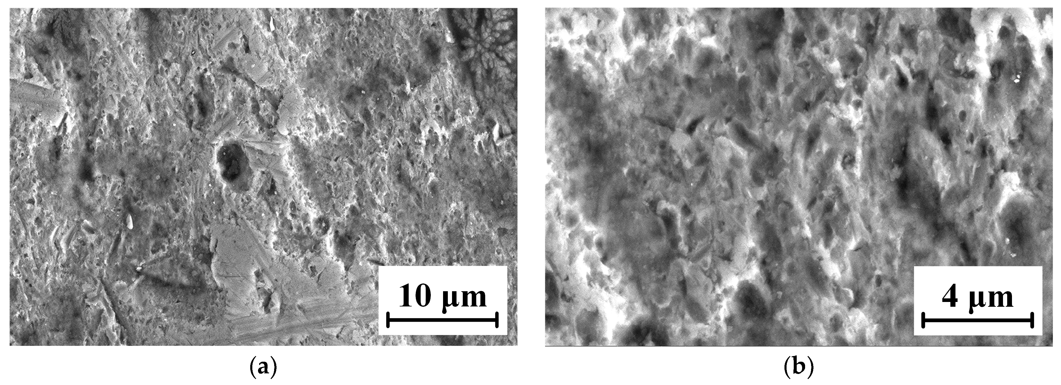 Coatings 13 00755 g022a