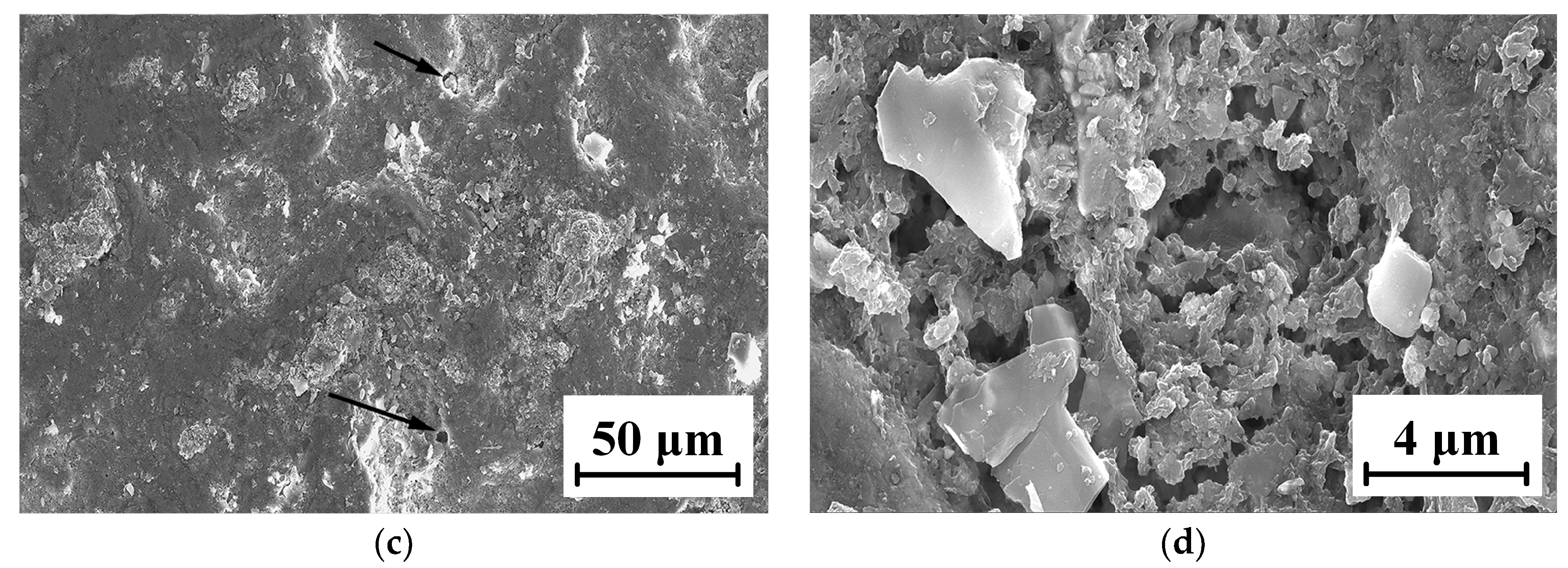 Coatings 13 00755 g022b