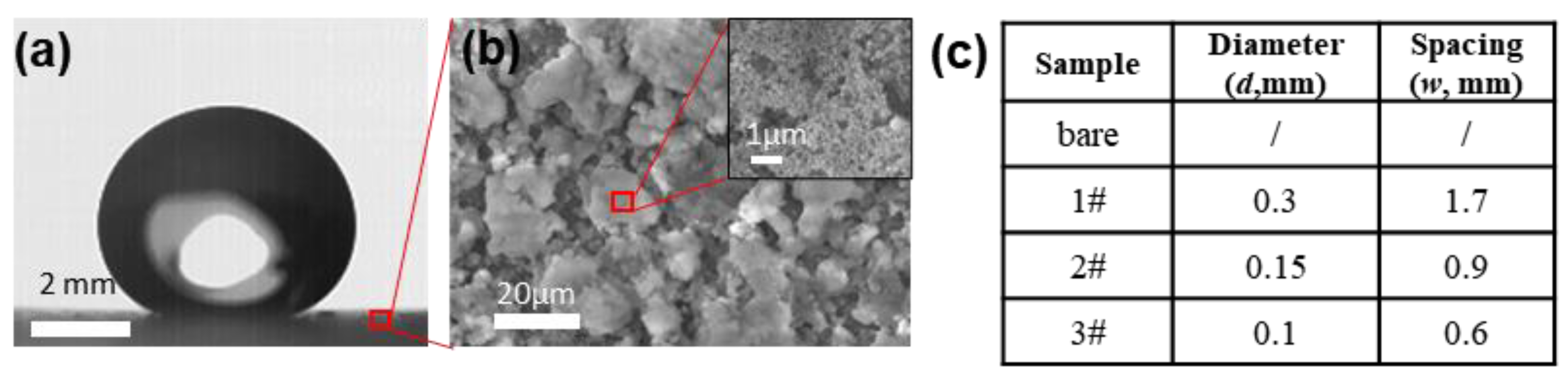 Coatings 13 00756 g001