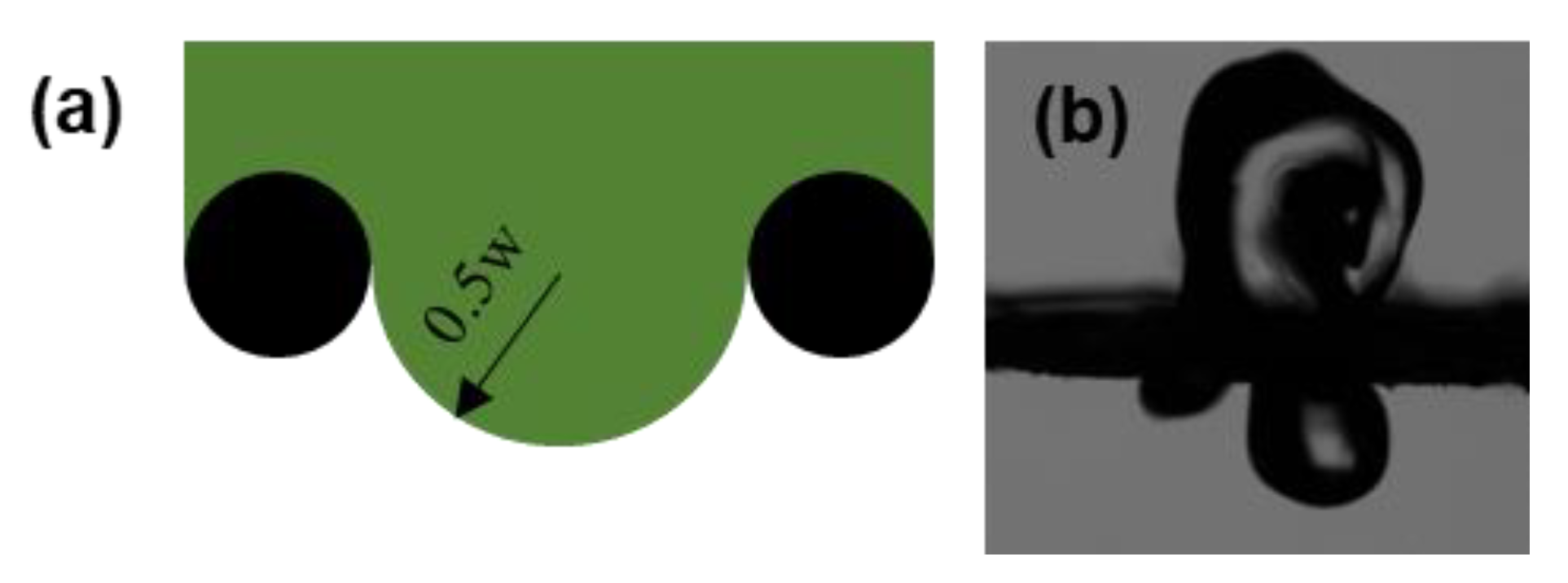 Coatings 13 00756 g005