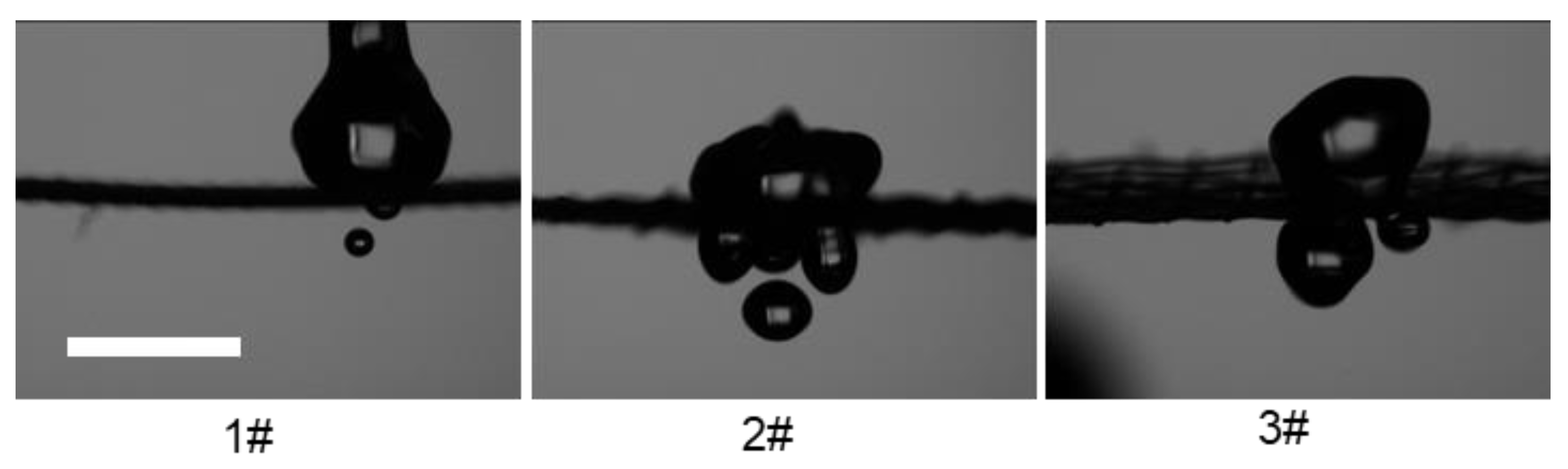 Coatings 13 00756 g008