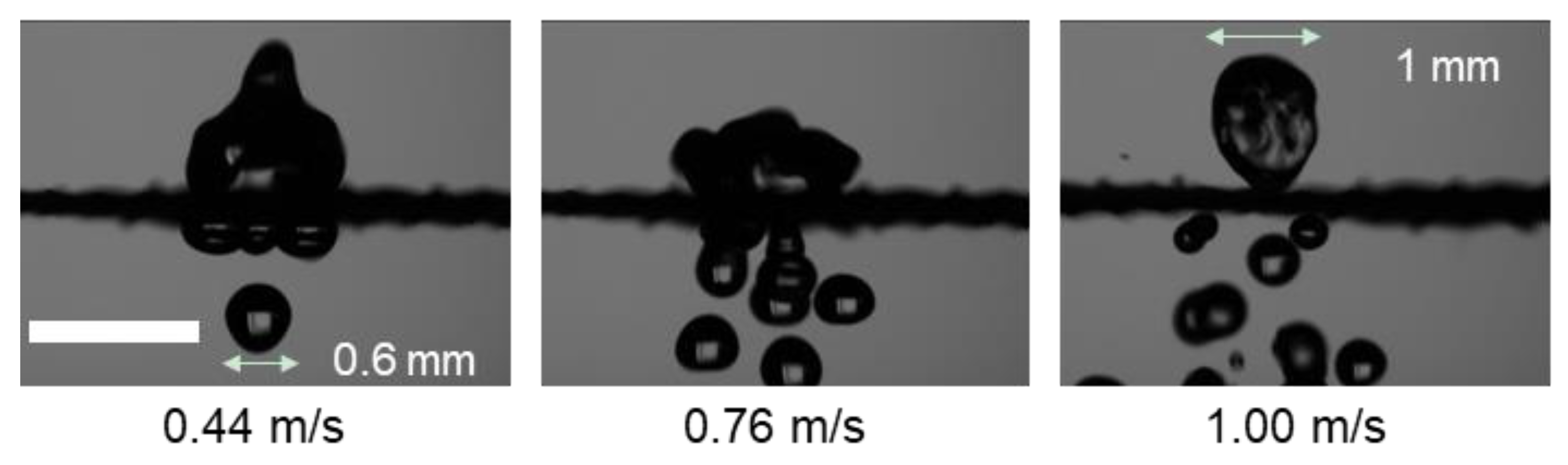 Coatings 13 00756 g010