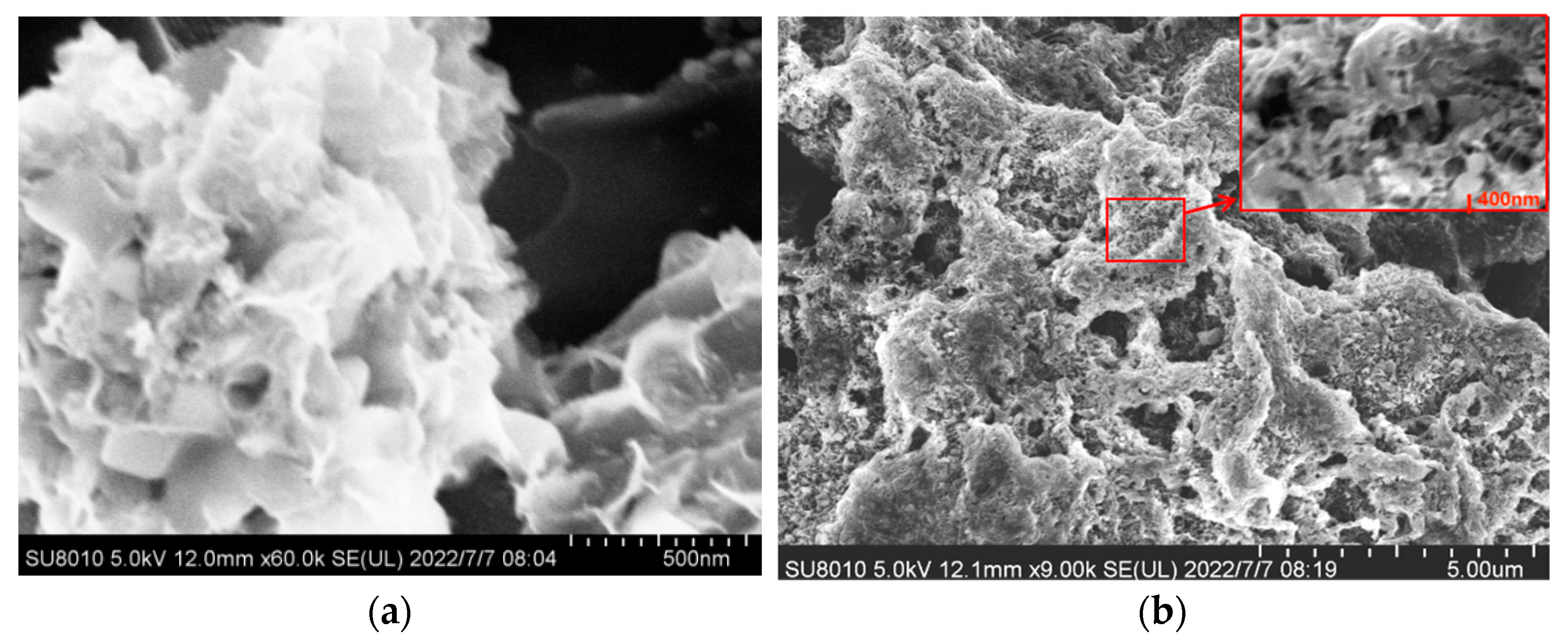 Coatings 13 00759 g004a