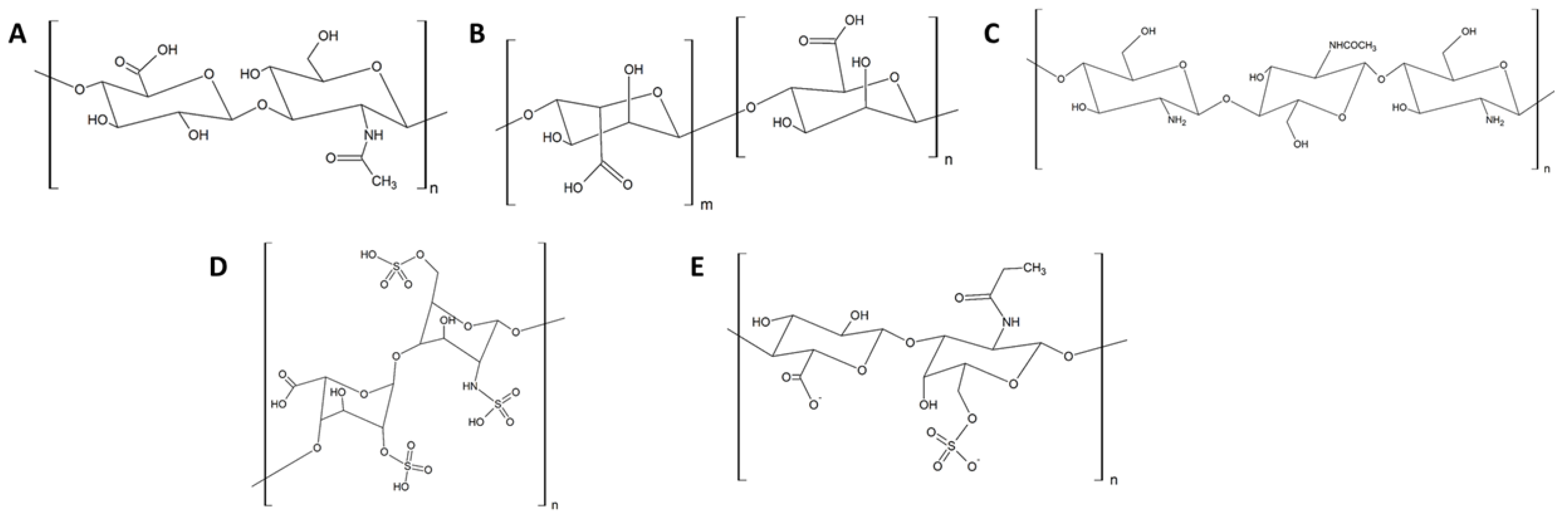 Coatings 13 00766 g003