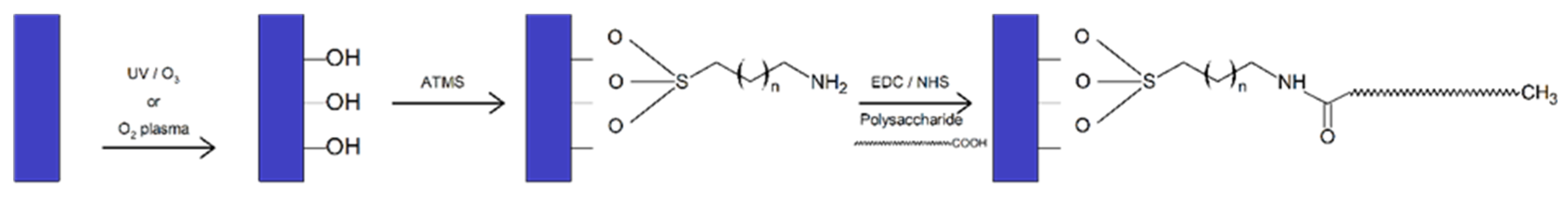 Coatings 13 00766 g005