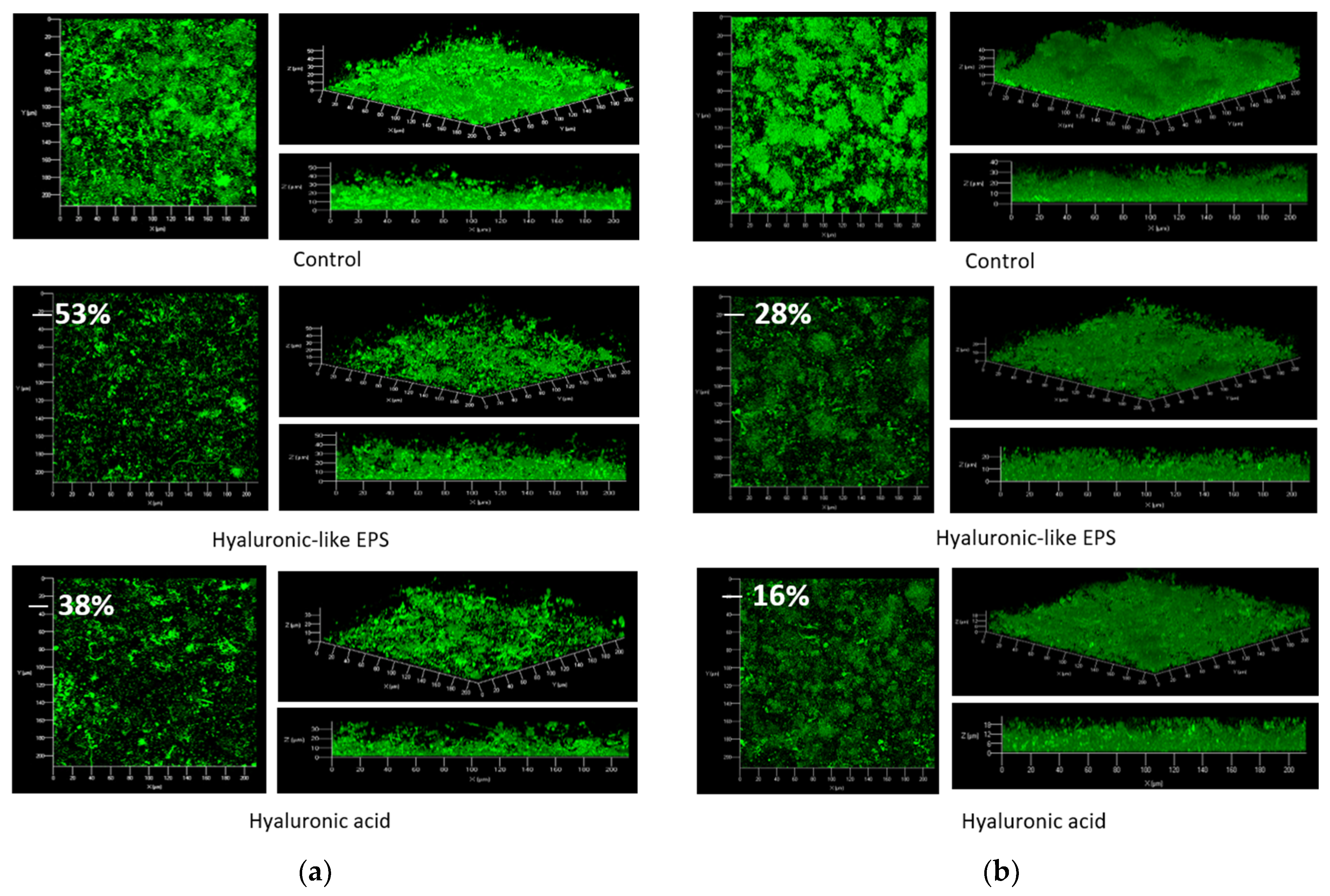 Coatings 13 00766 g008