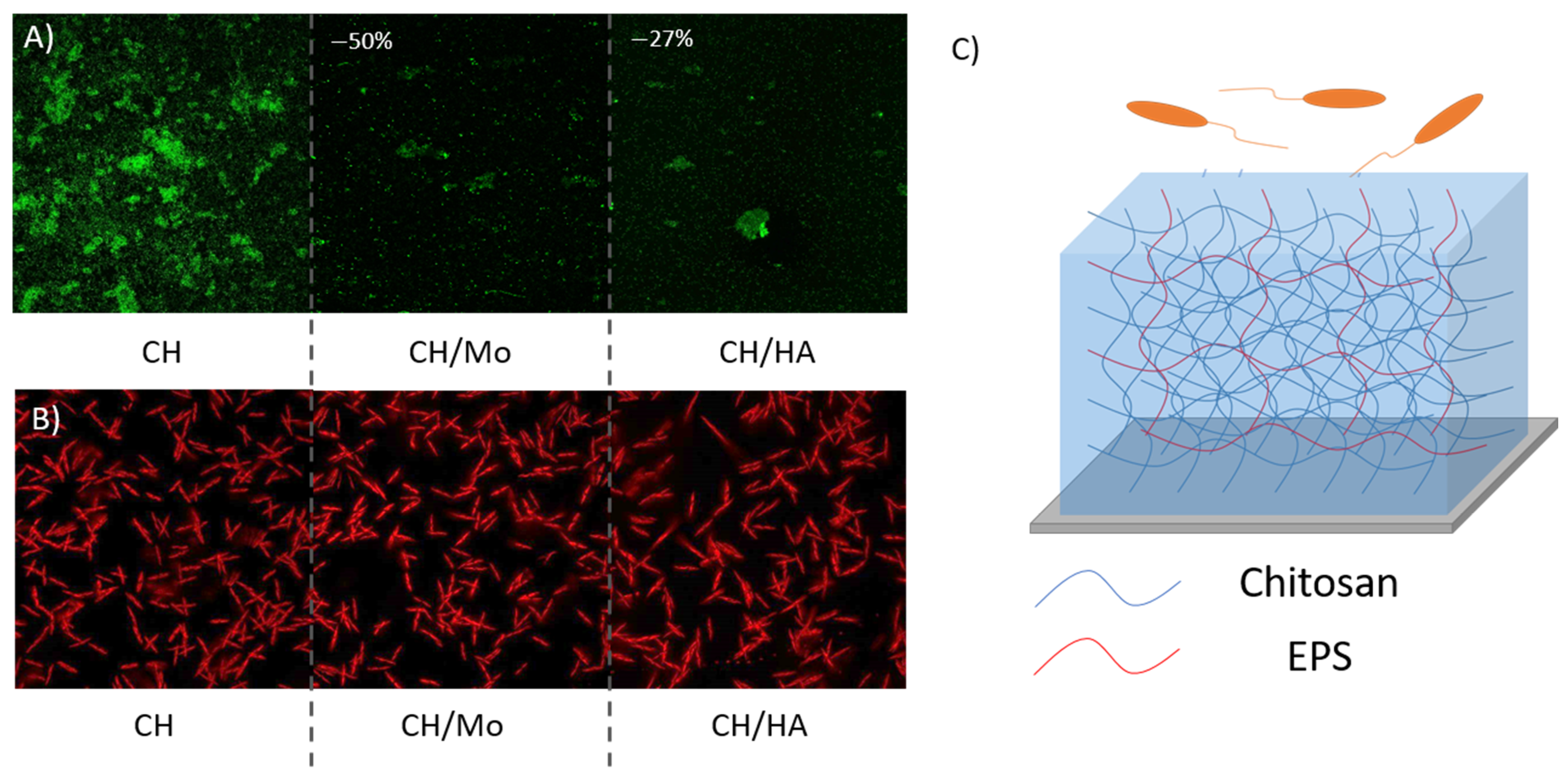 Coatings 13 00766 g009