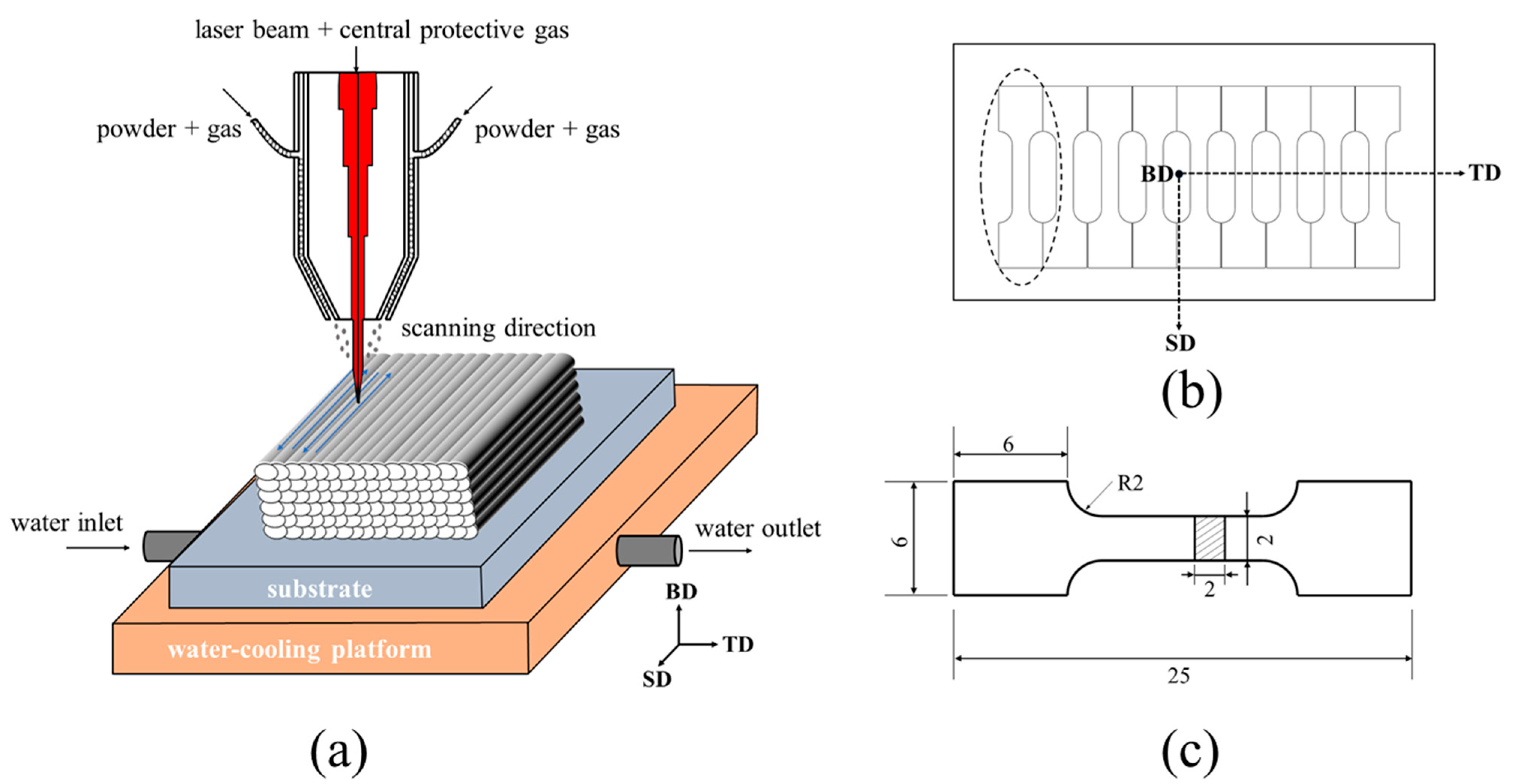Coatings 13 00768 g001