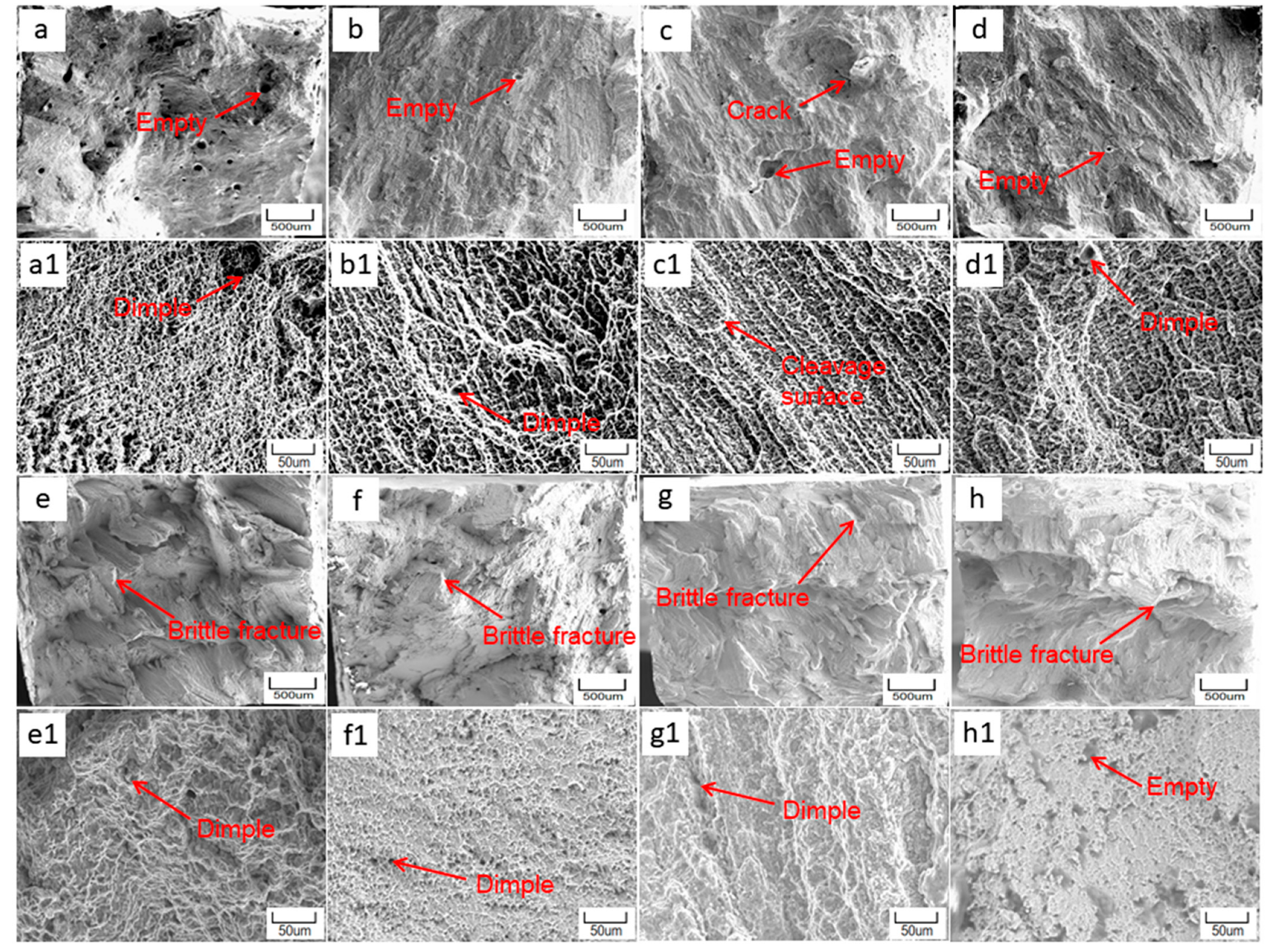 Coatings 13 00768 g008