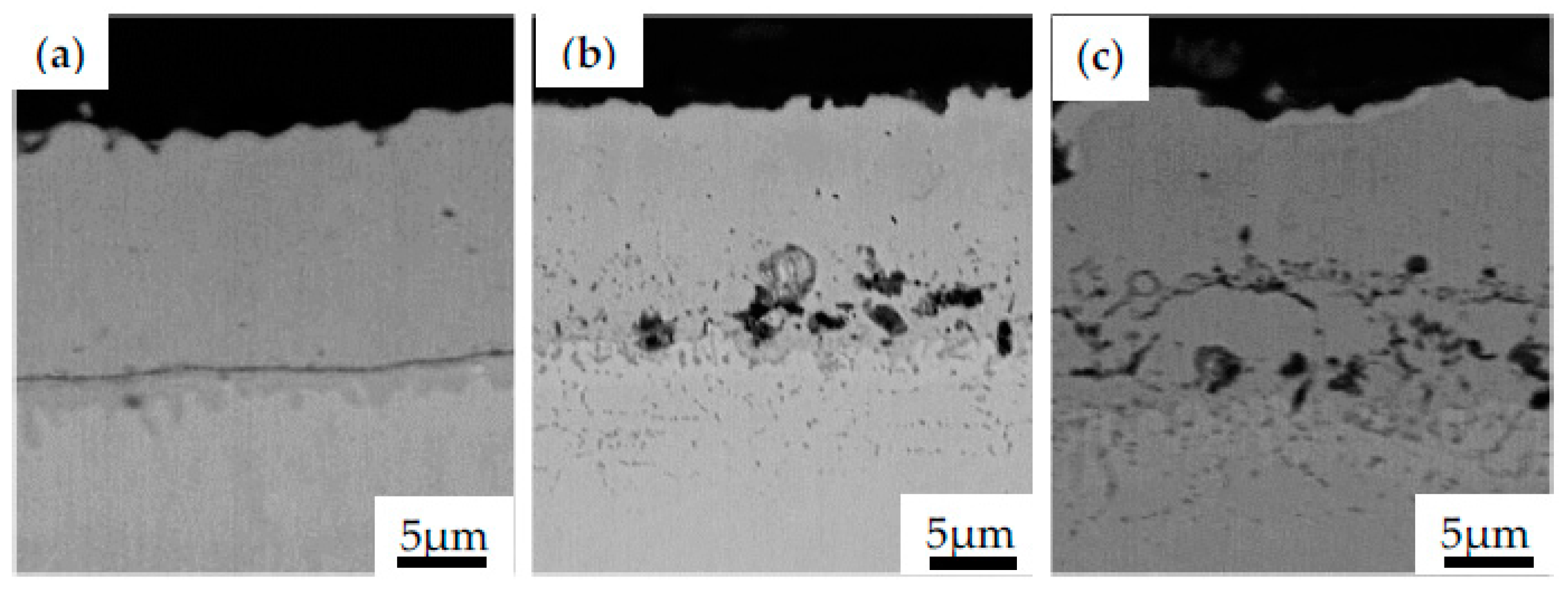 Coatings 13 00769 g006