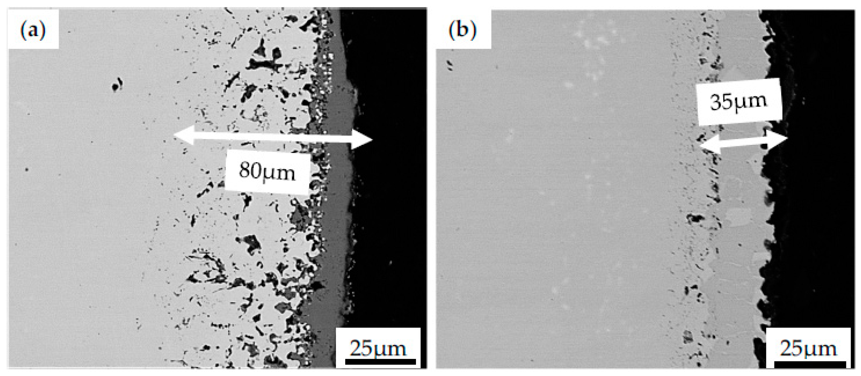 Coatings 13 00769 g007