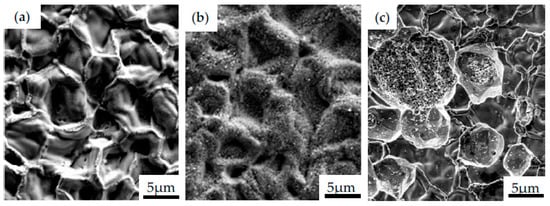 Coatings 13 00769 g008