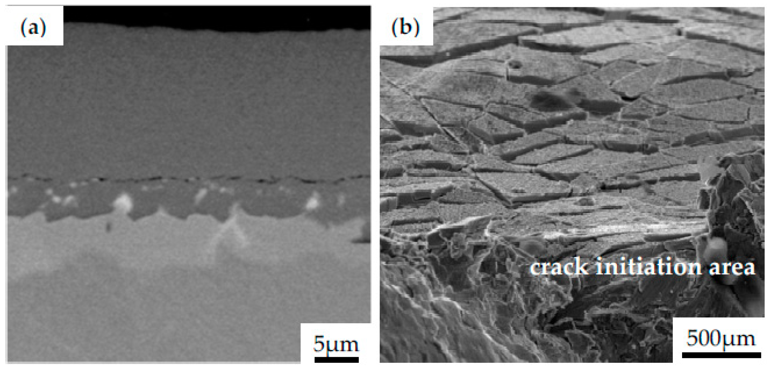 Coatings 13 00769 g009