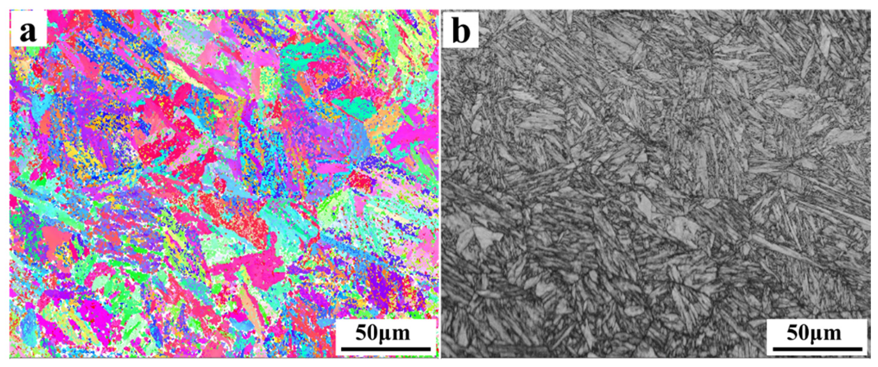 Coatings 13 00770 g001