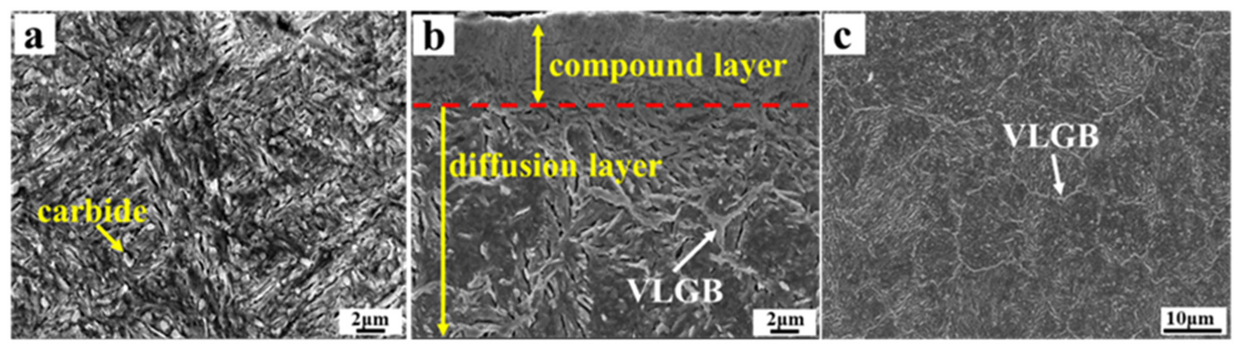 Coatings 13 00770 g003
