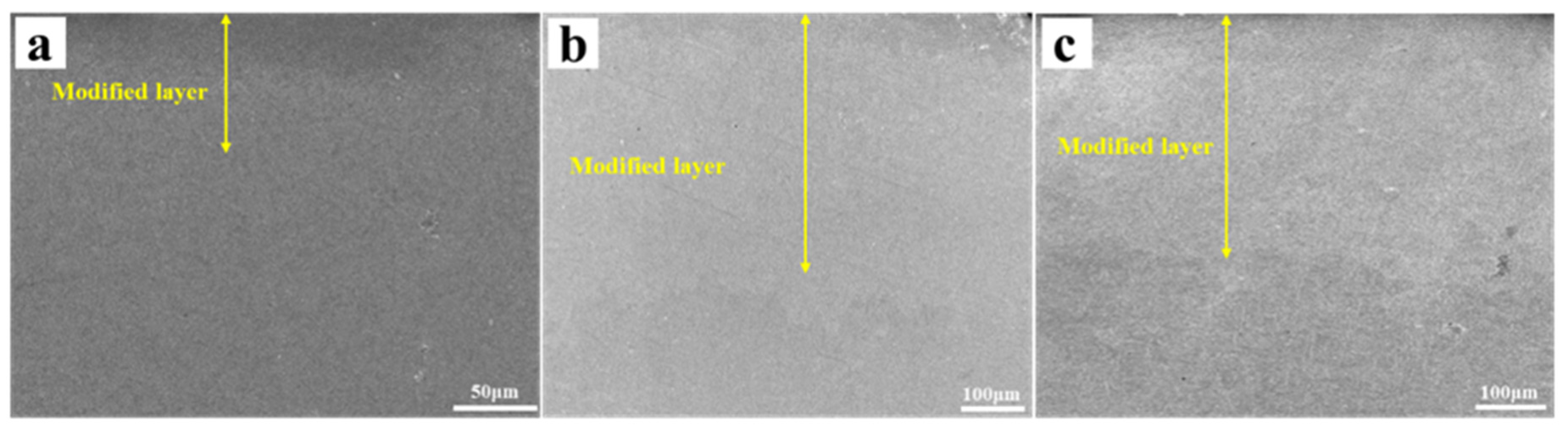 Coatings 13 00770 g013