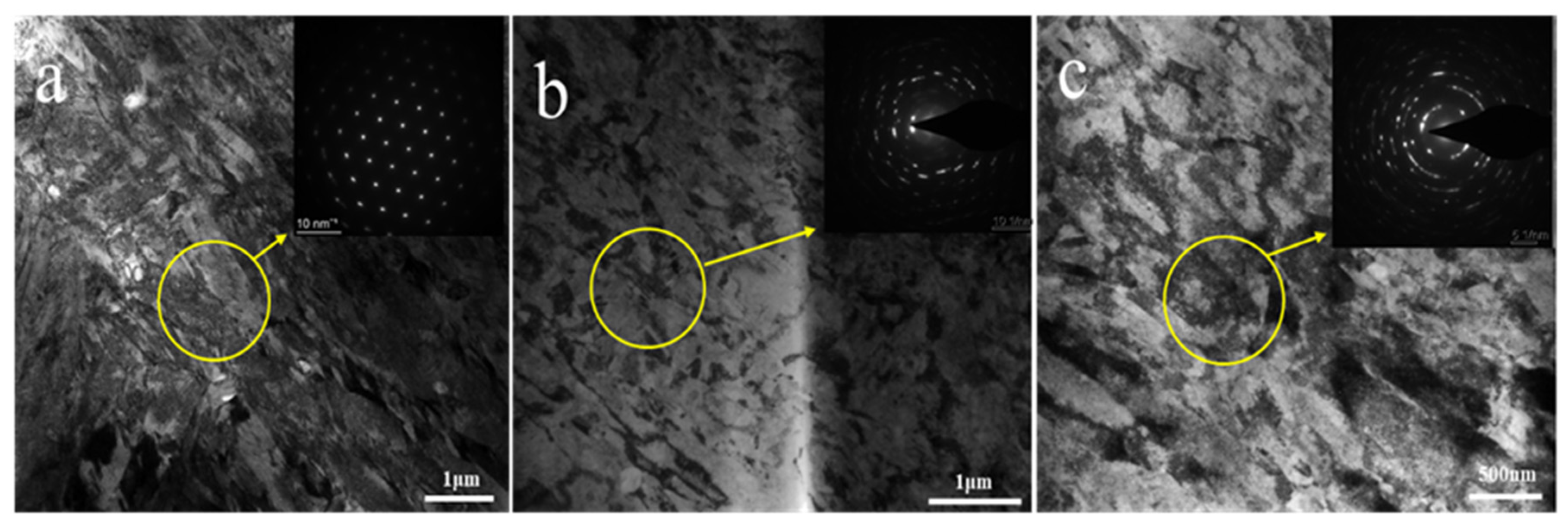 Coatings 13 00770 g014