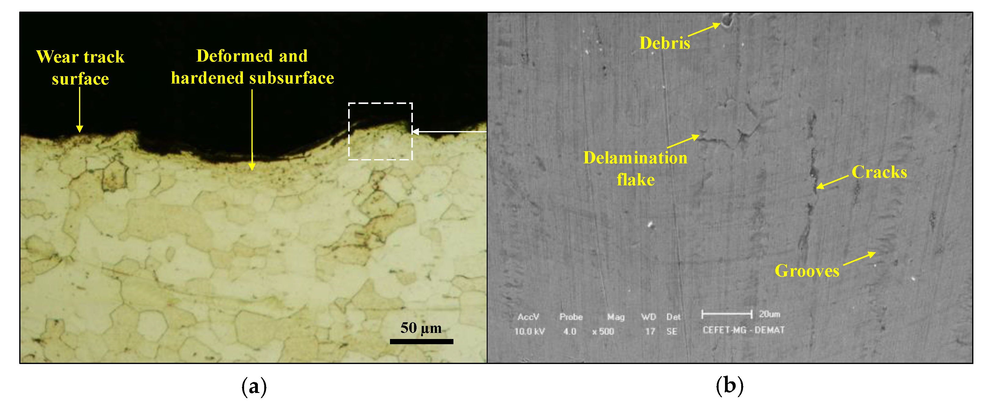 Coatings 13 00771 g007
