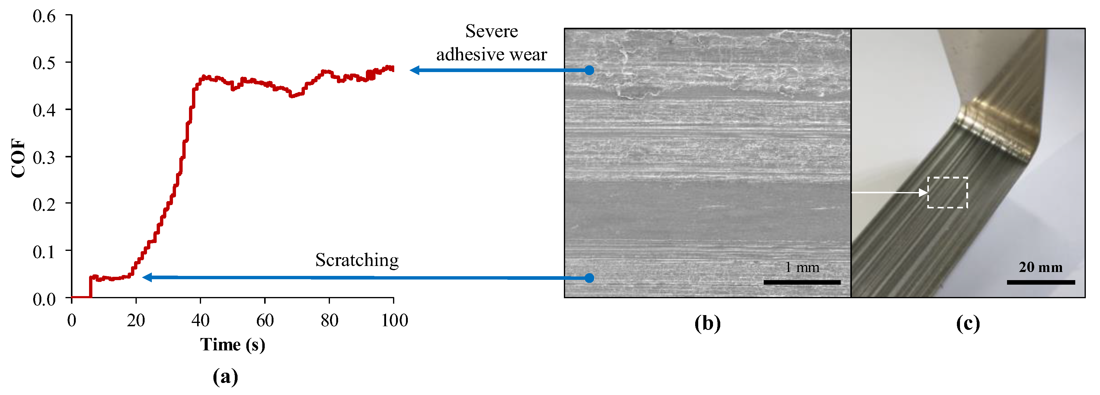 Coatings 13 00771 g009