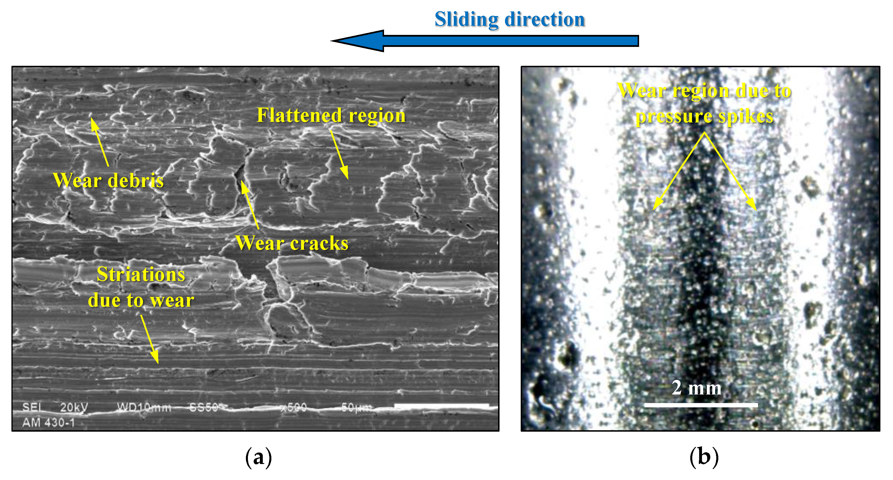 Coatings 13 00771 g014