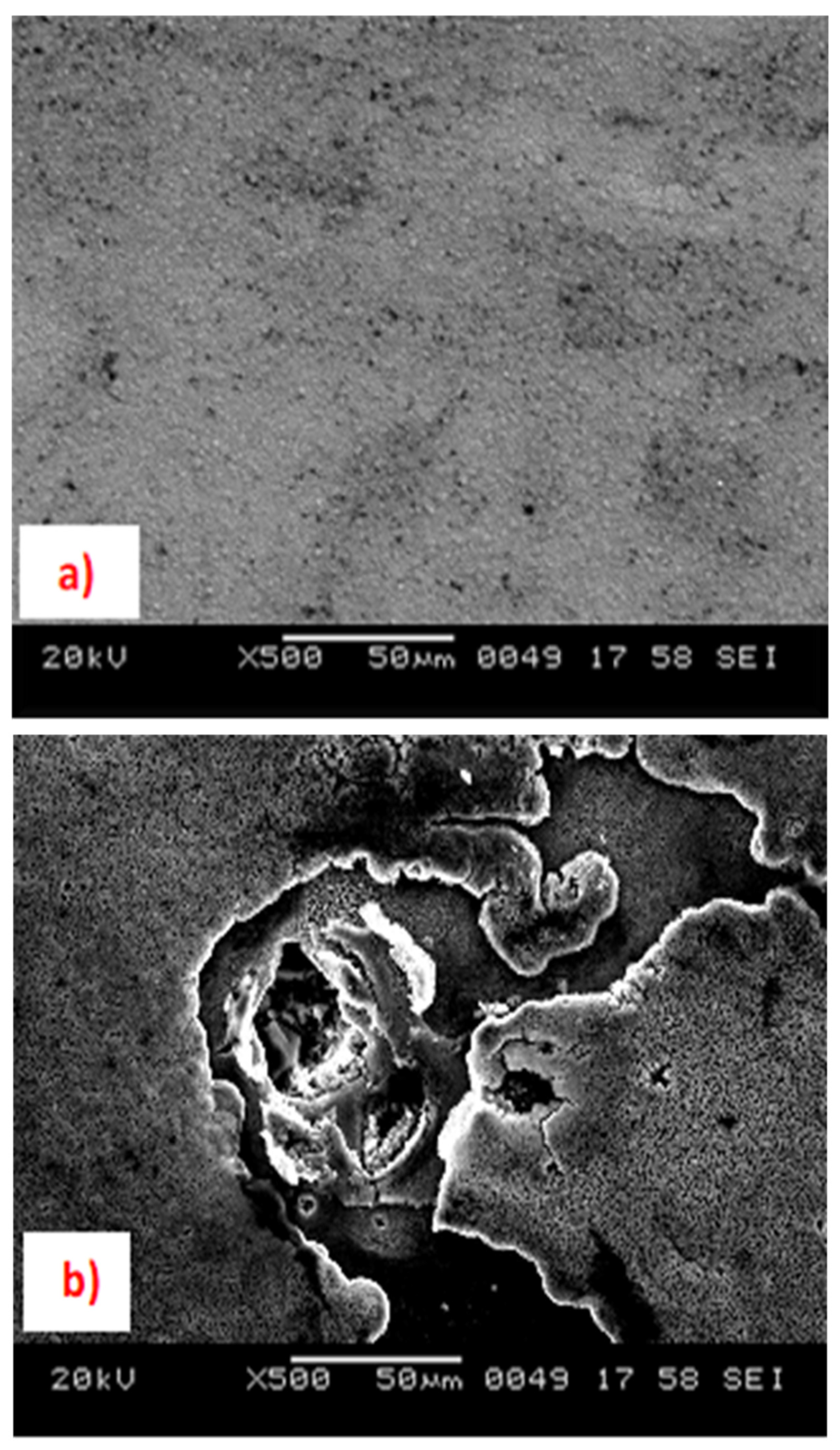 Coatings 13 00772 g006