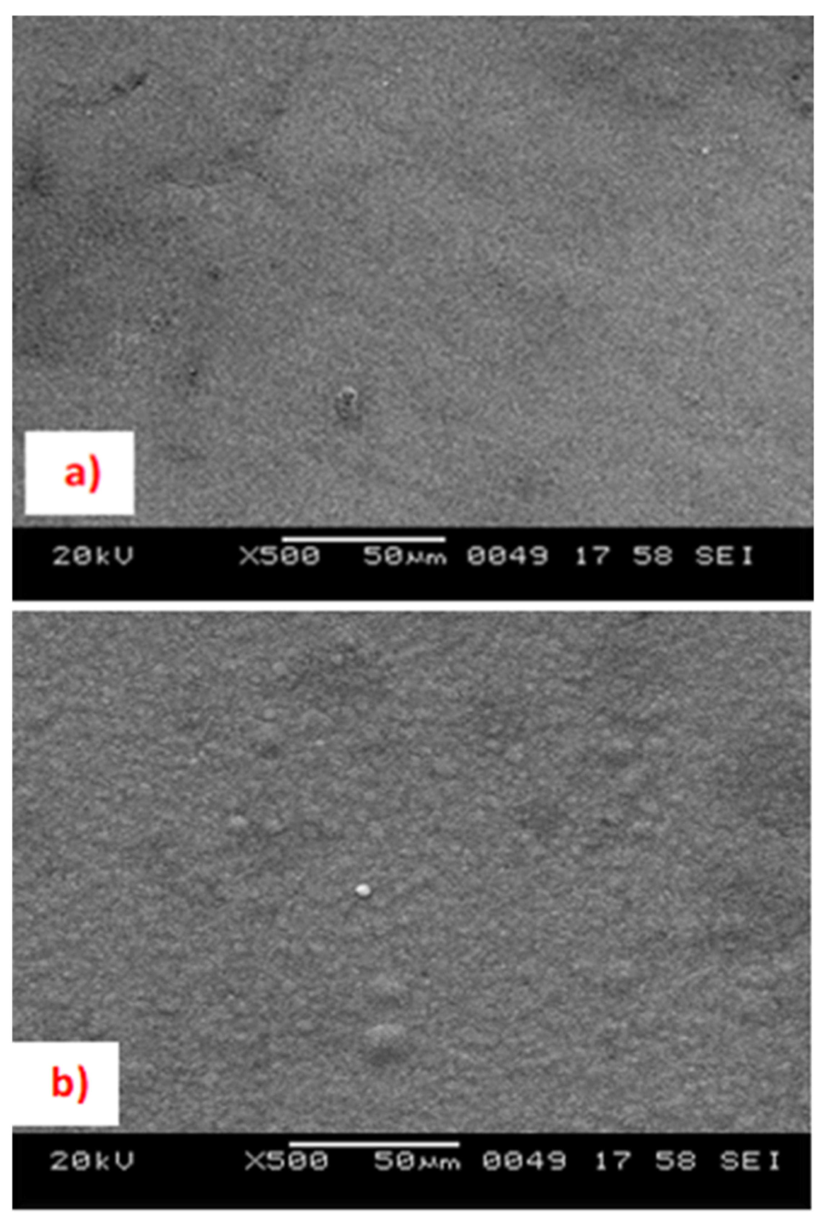 Coatings 13 00772 g007