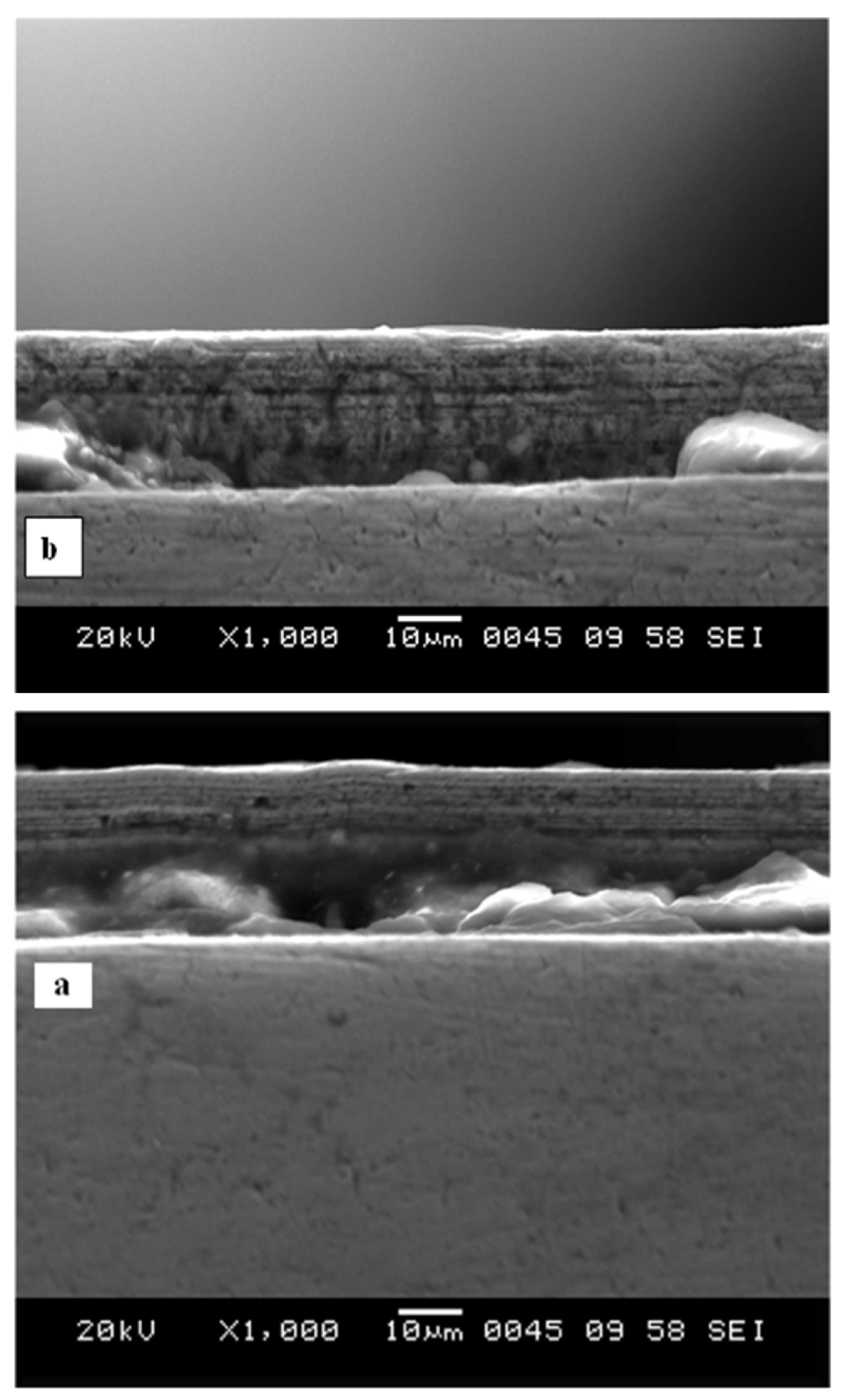 Coatings 13 00772 g008