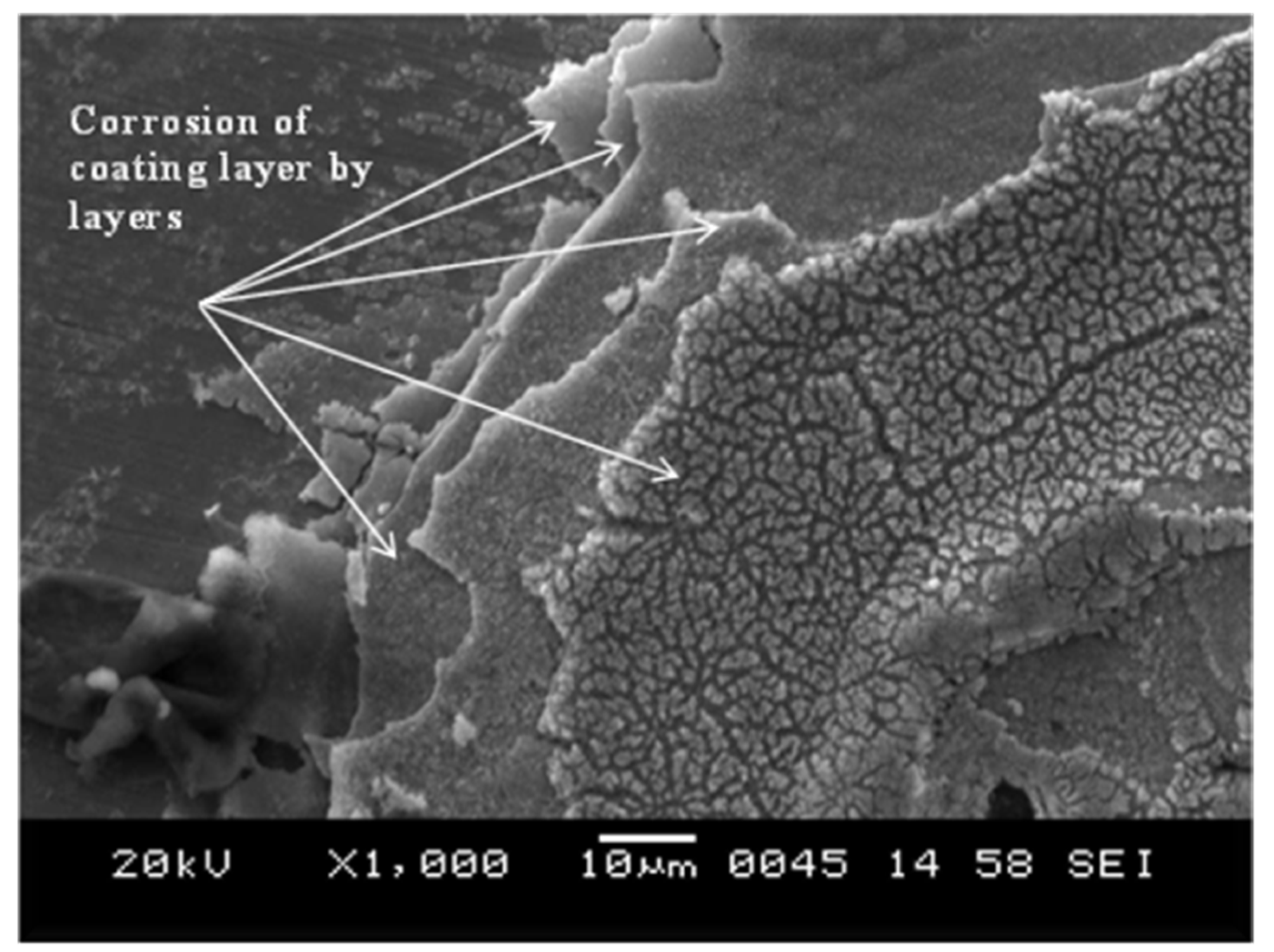 Coatings 13 00772 g009