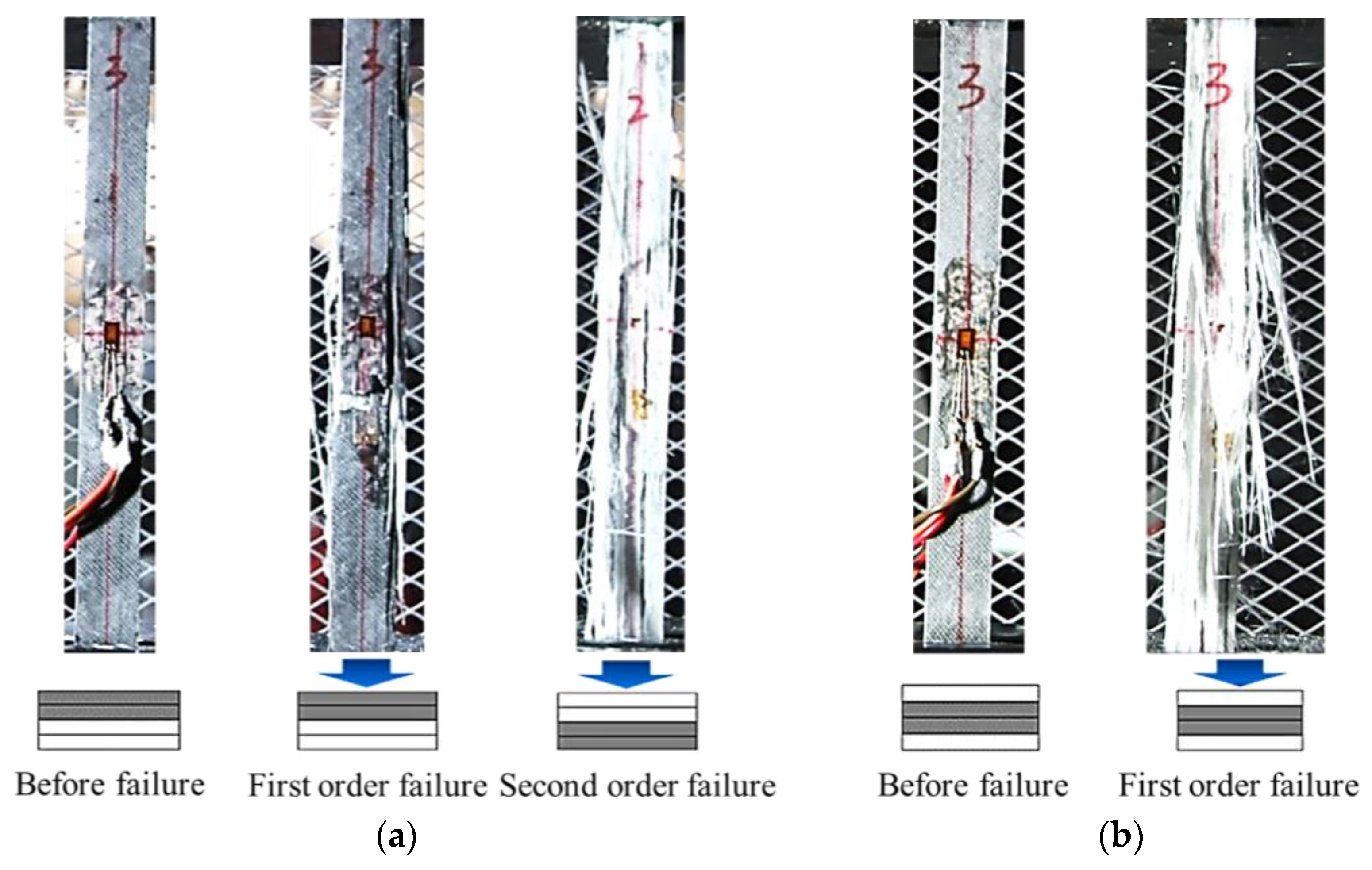 Coatings 13 00774 g006