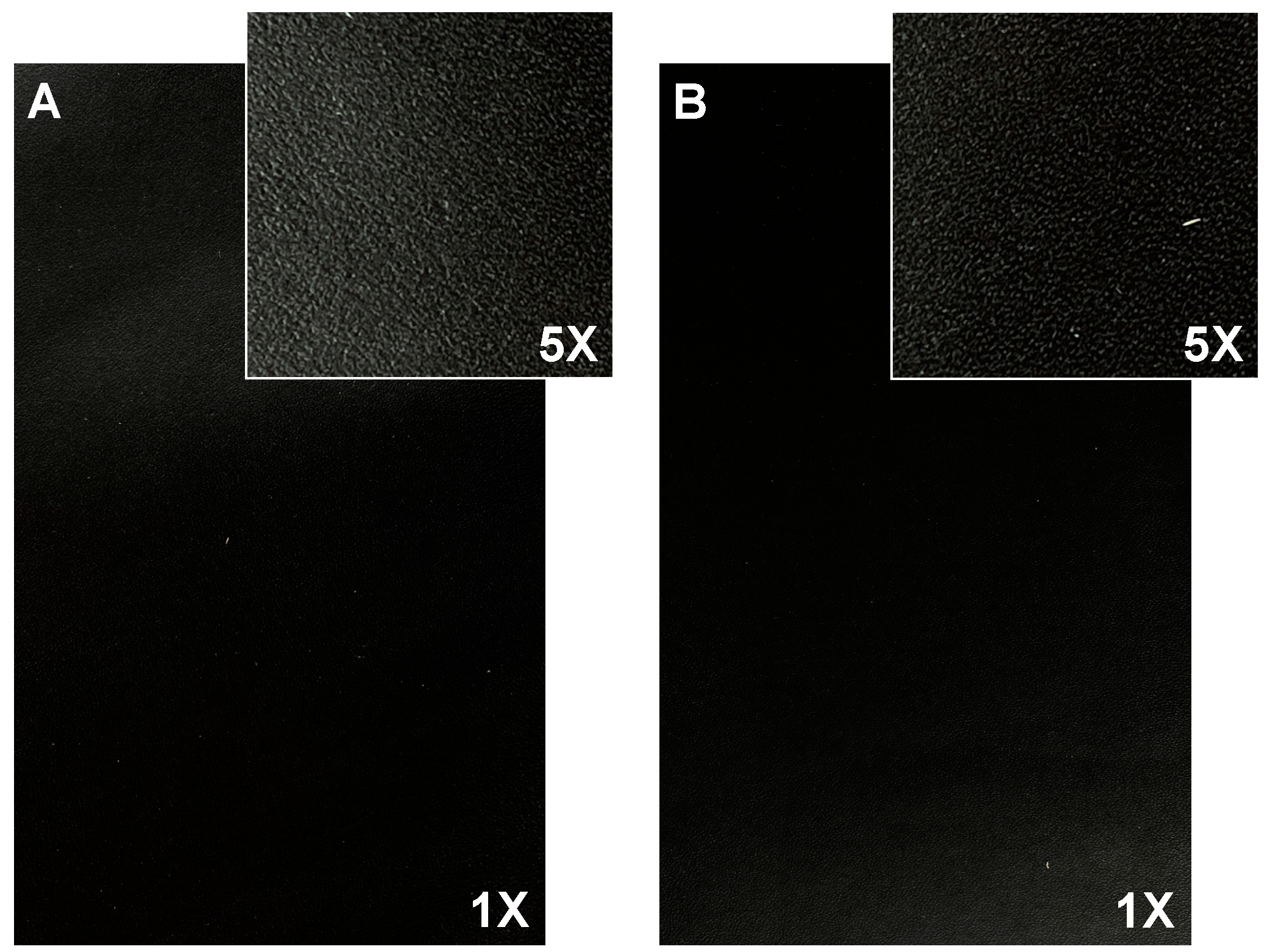 Coatings 13 00775 g003