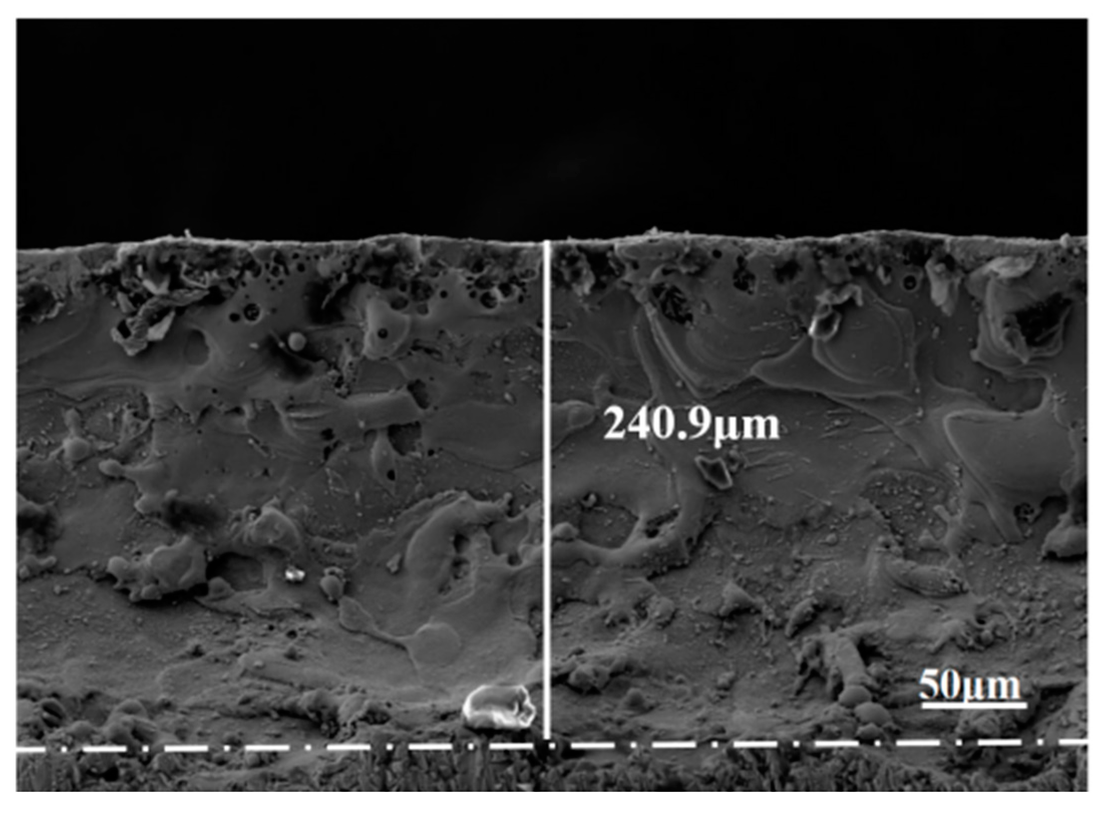 Coatings 13 00776 g008