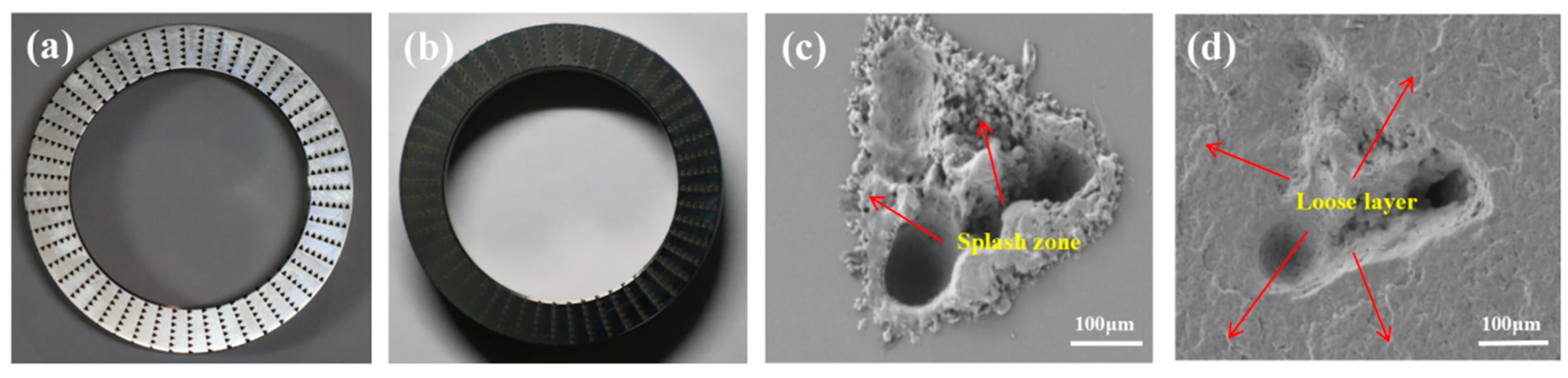 Coatings 13 00776 g009
