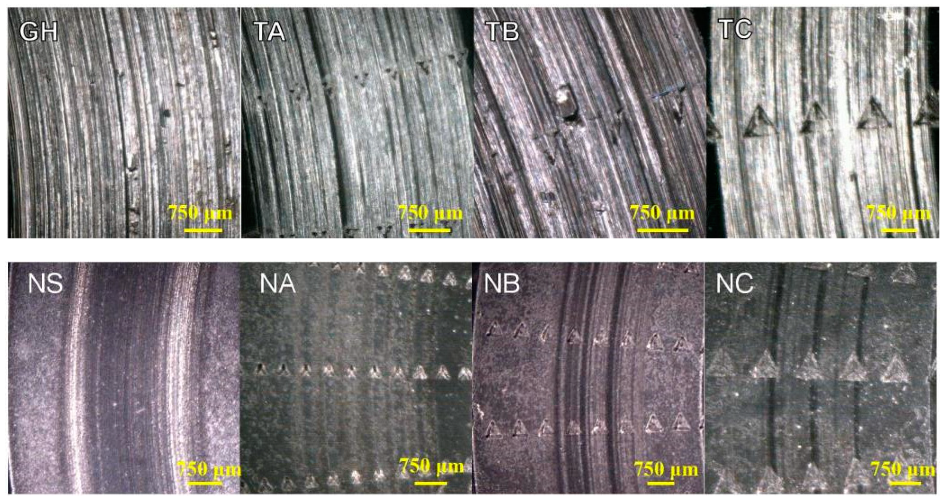 Coatings 13 00776 g011