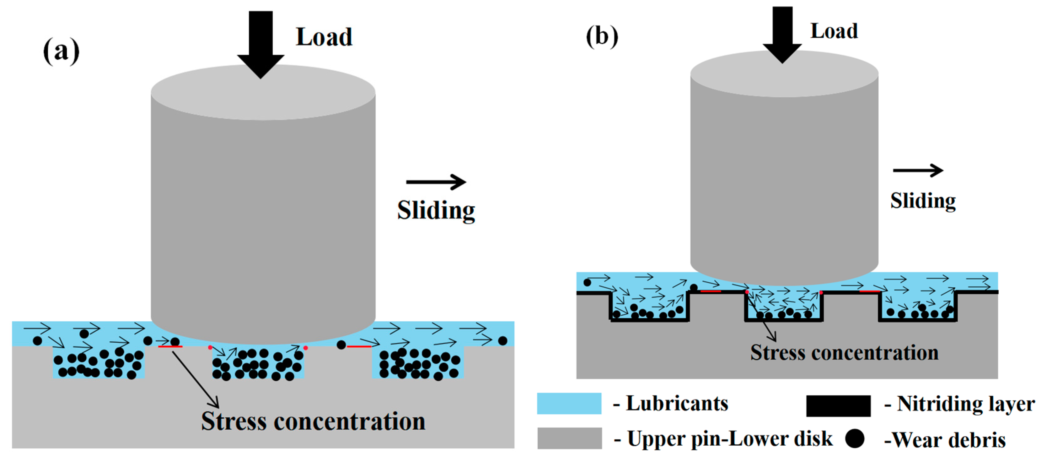 Coatings 13 00776 g019