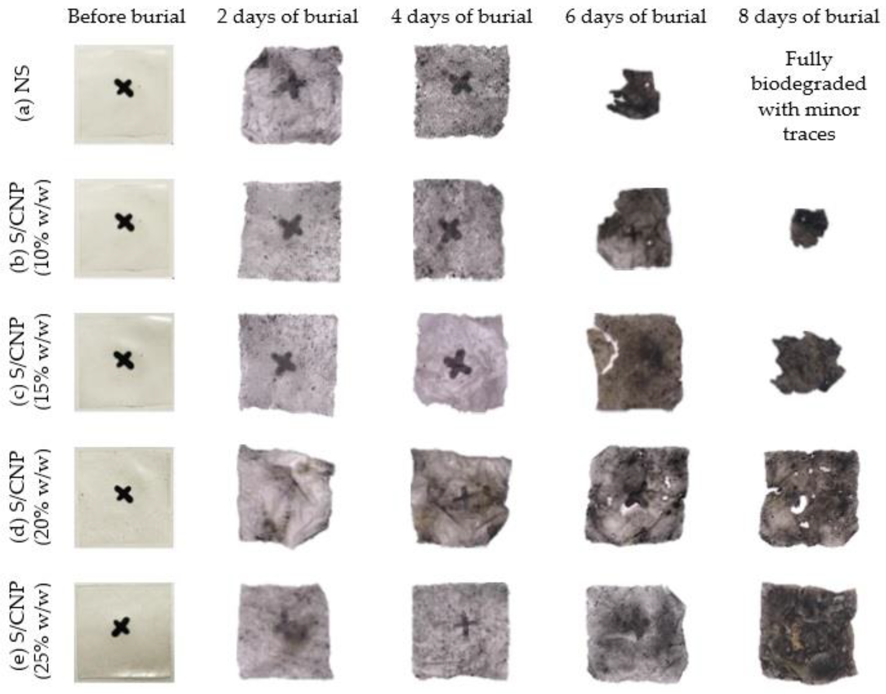 Coatings 13 00777 g002 Coatings 13 00777 g002