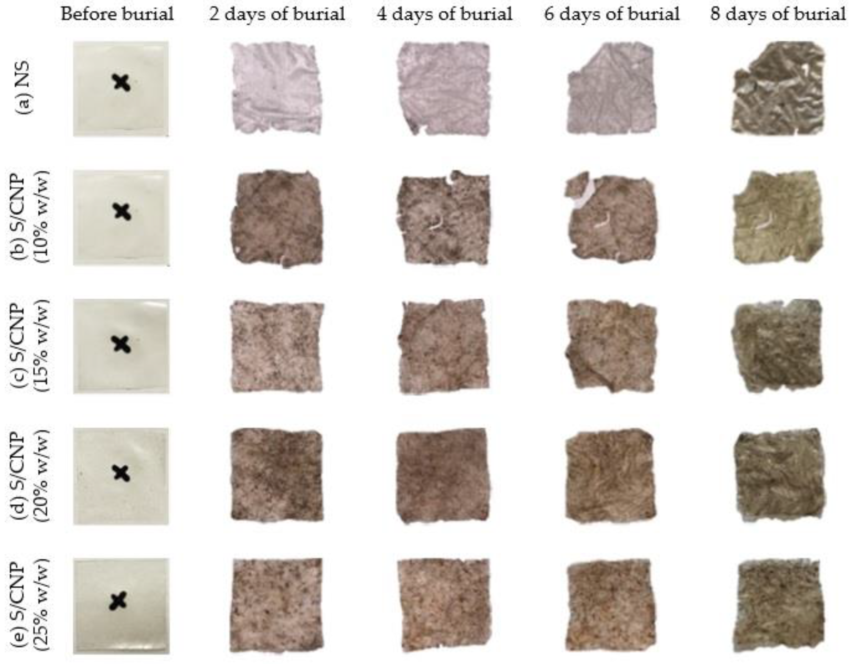 Coatings 13 00777 g003 Coatings 13 00777 g003