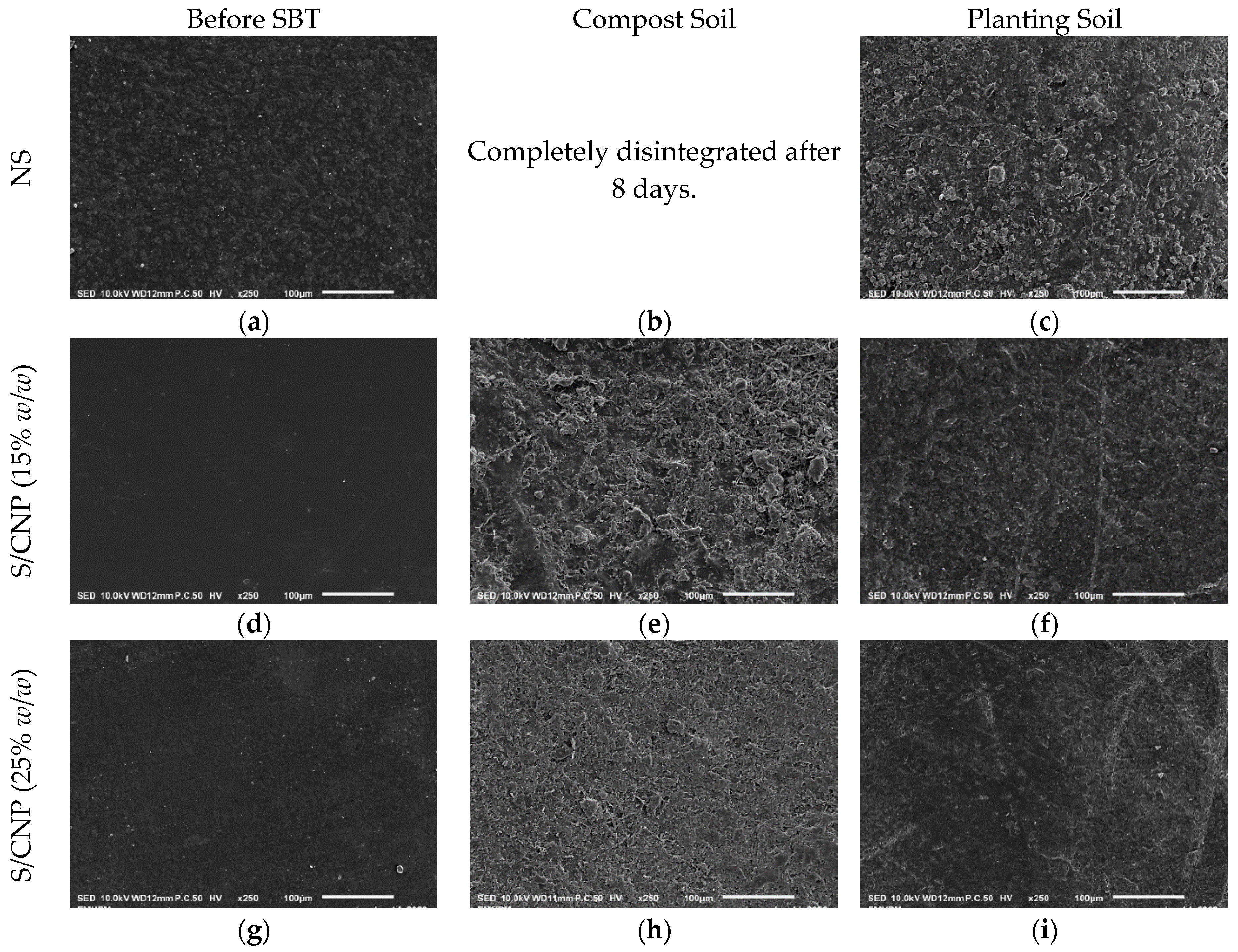 Coatings 13 00777 g004 Coatings 13 00777 g004