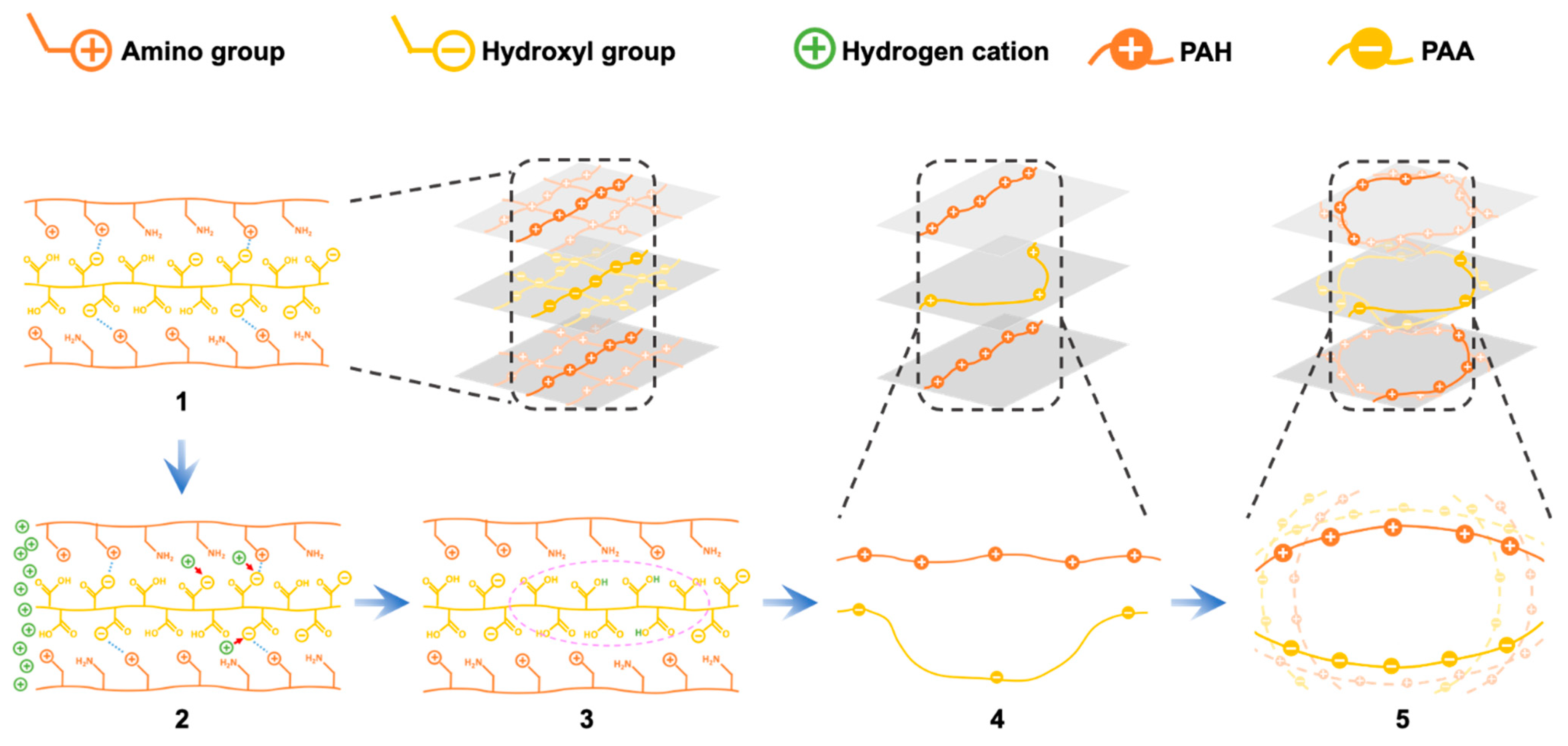 Coatings 13 00778 g001