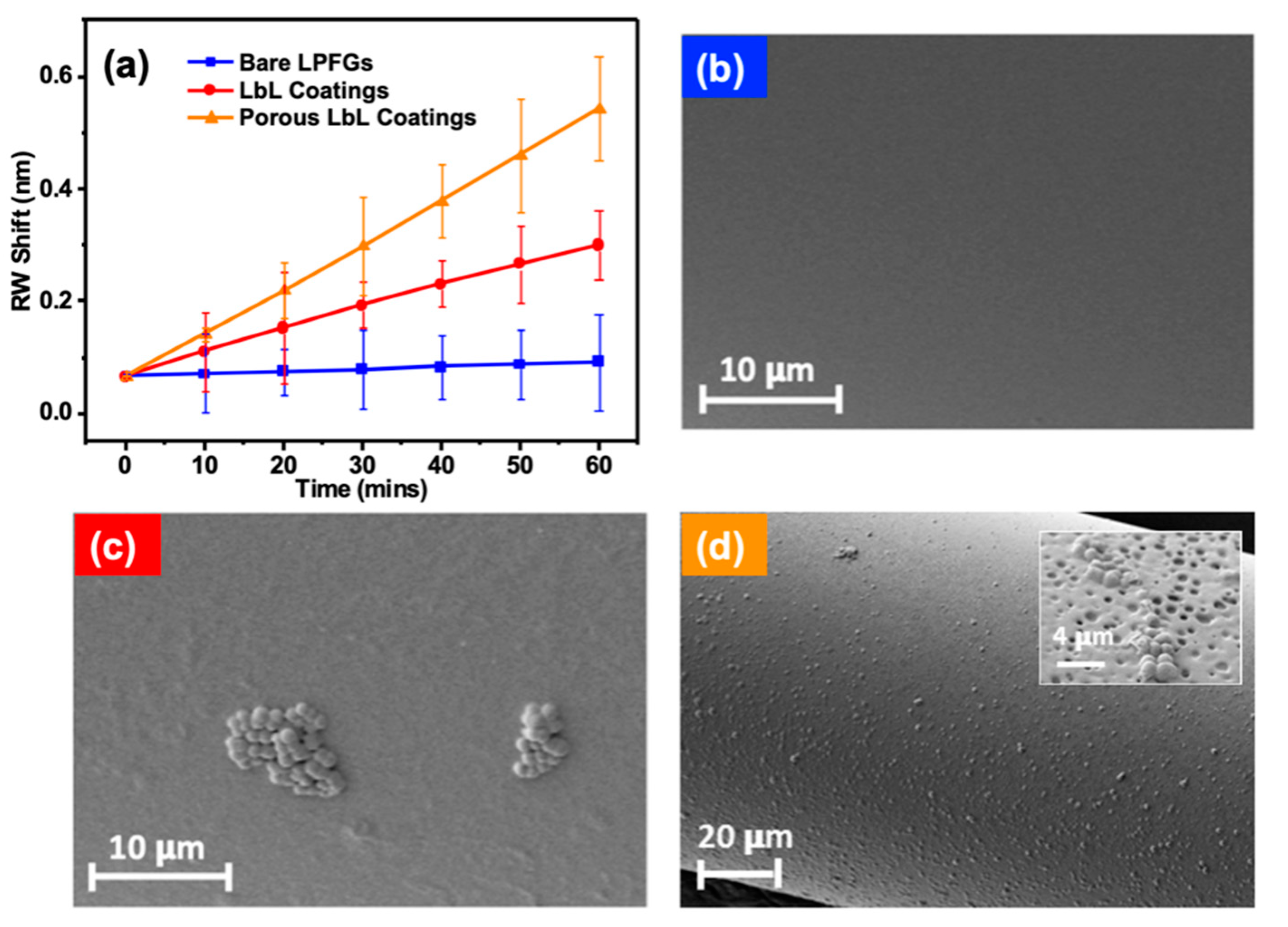 Coatings 13 00778 g003