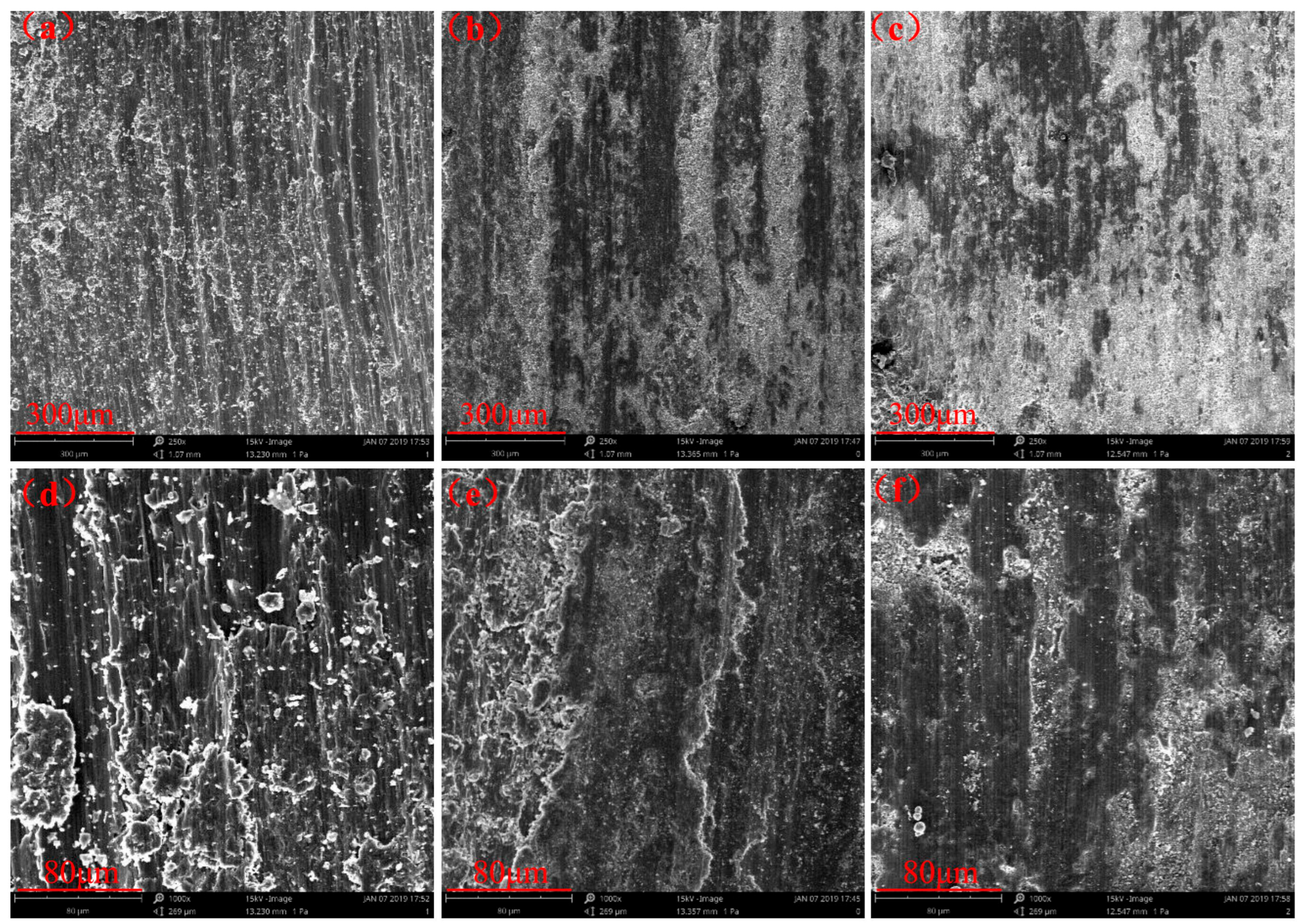 Coatings 13 00779 g006