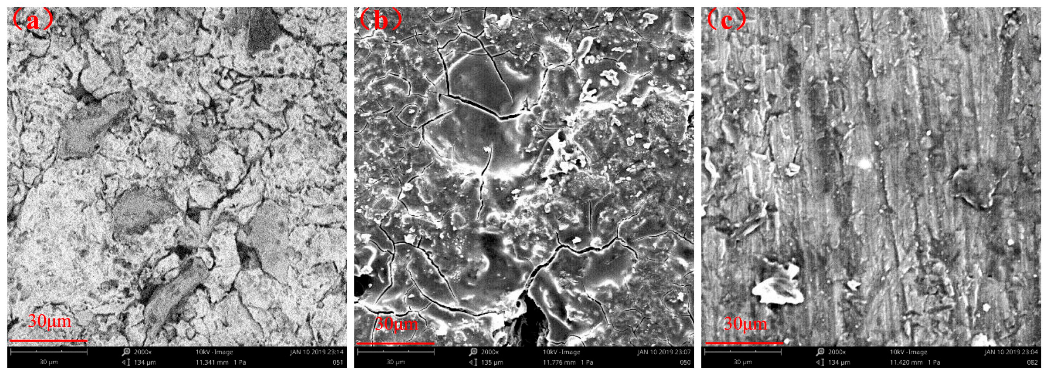 Coatings 13 00779 g009