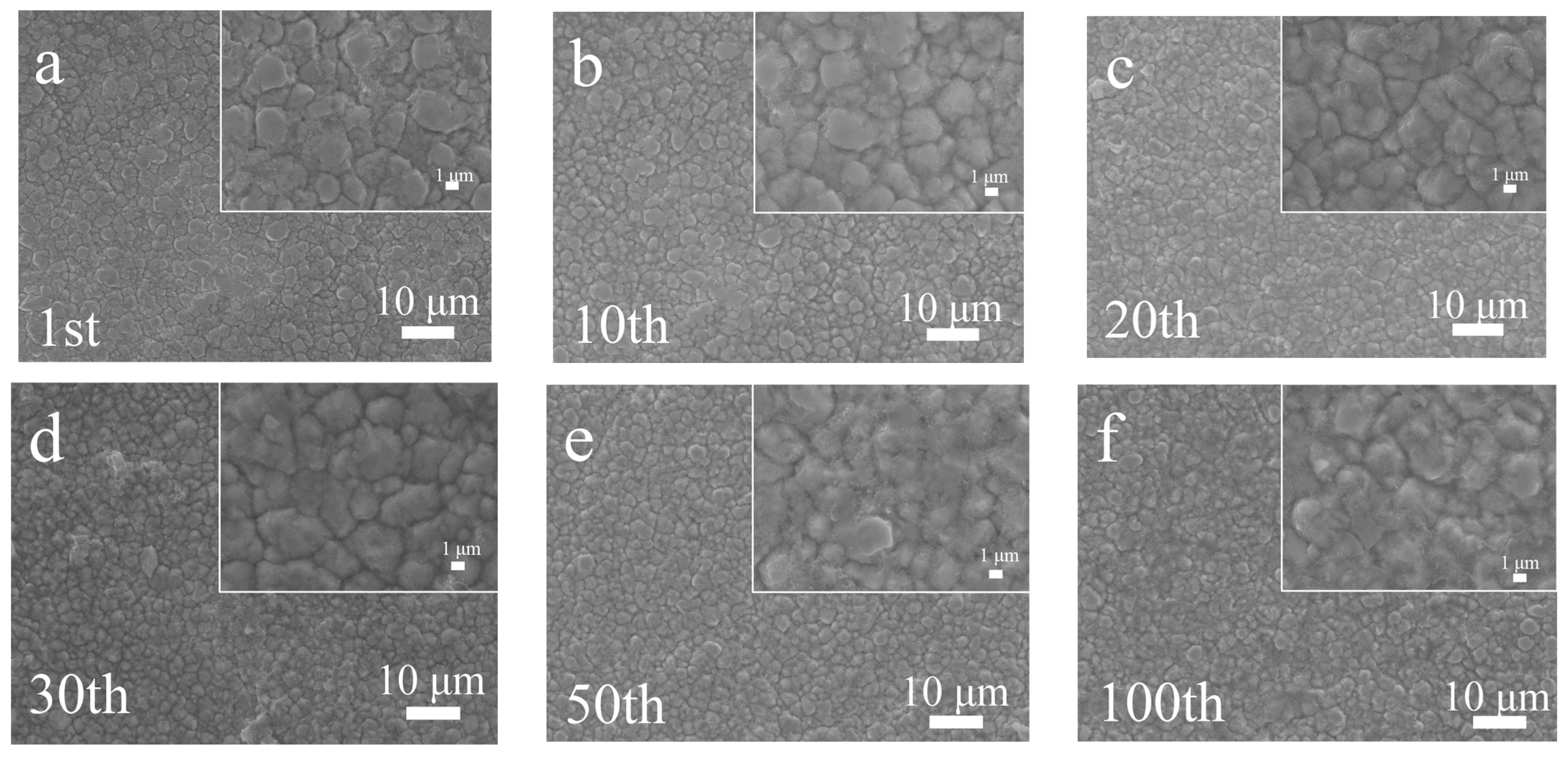 Coatings 13 00780 g003 Coatings 13 00780 g003