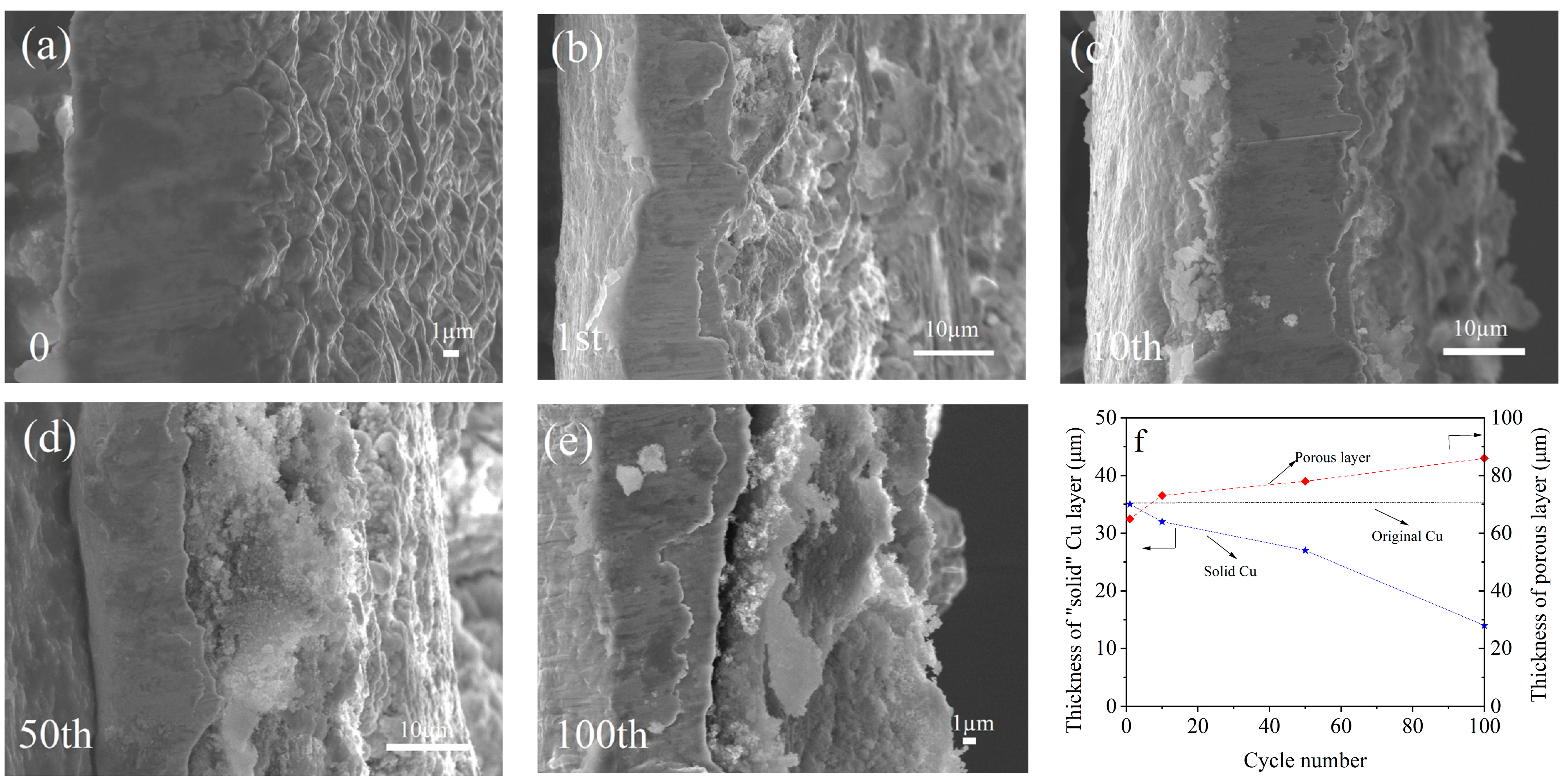 Coatings 13 00780 g004 Coatings 13 00780 g004