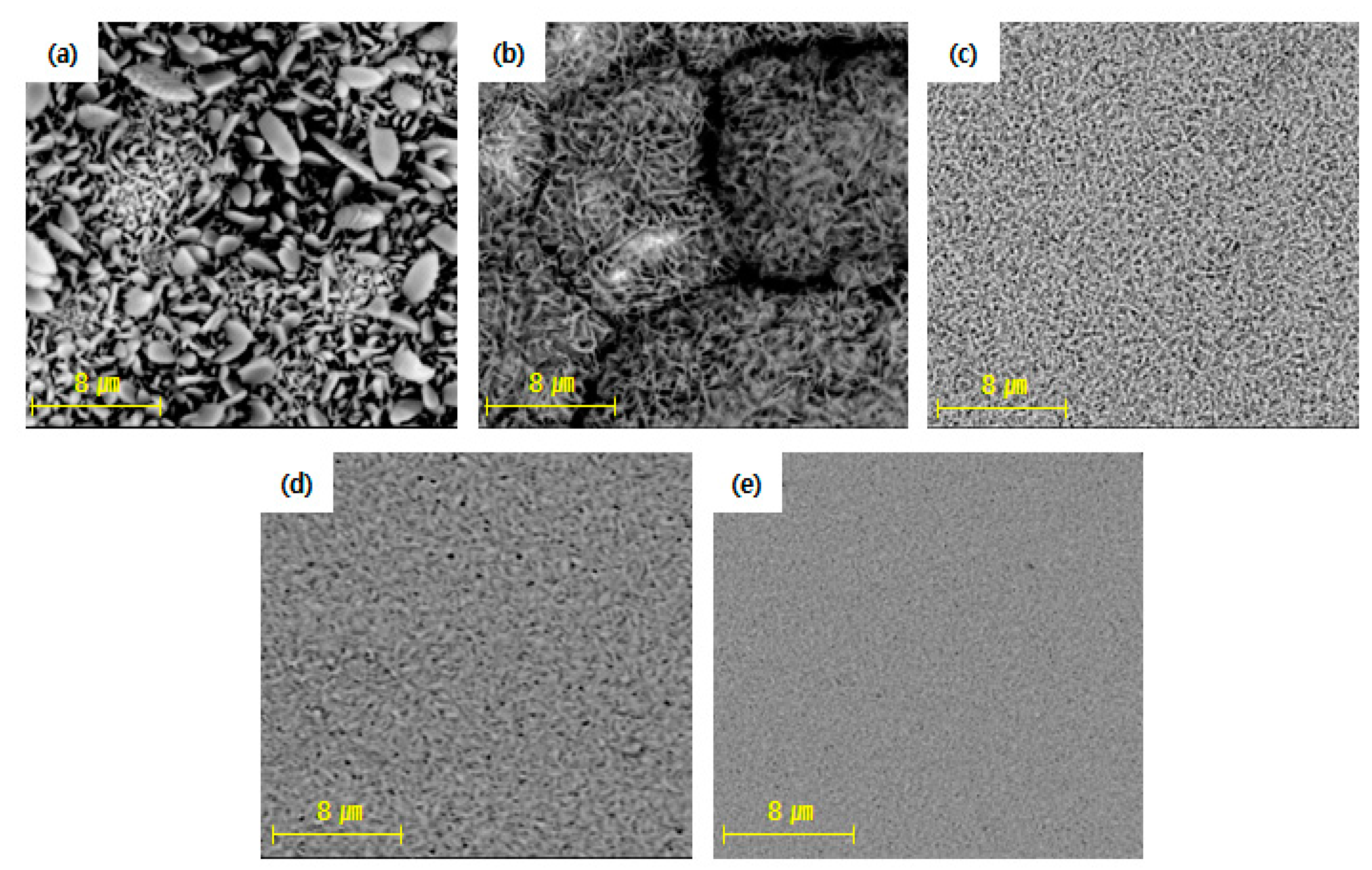 Coatings 13 00781 g006