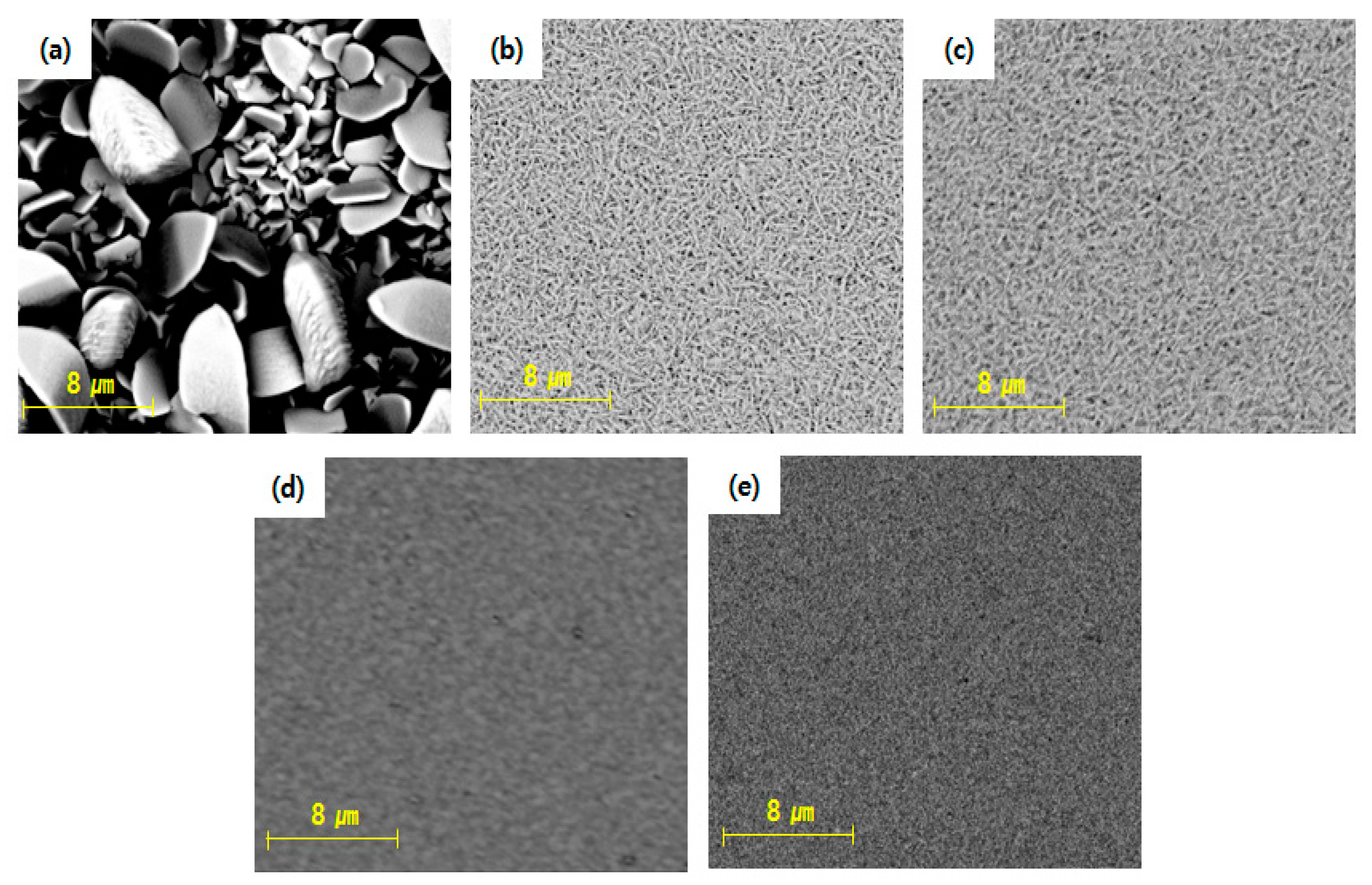 Coatings 13 00781 g007