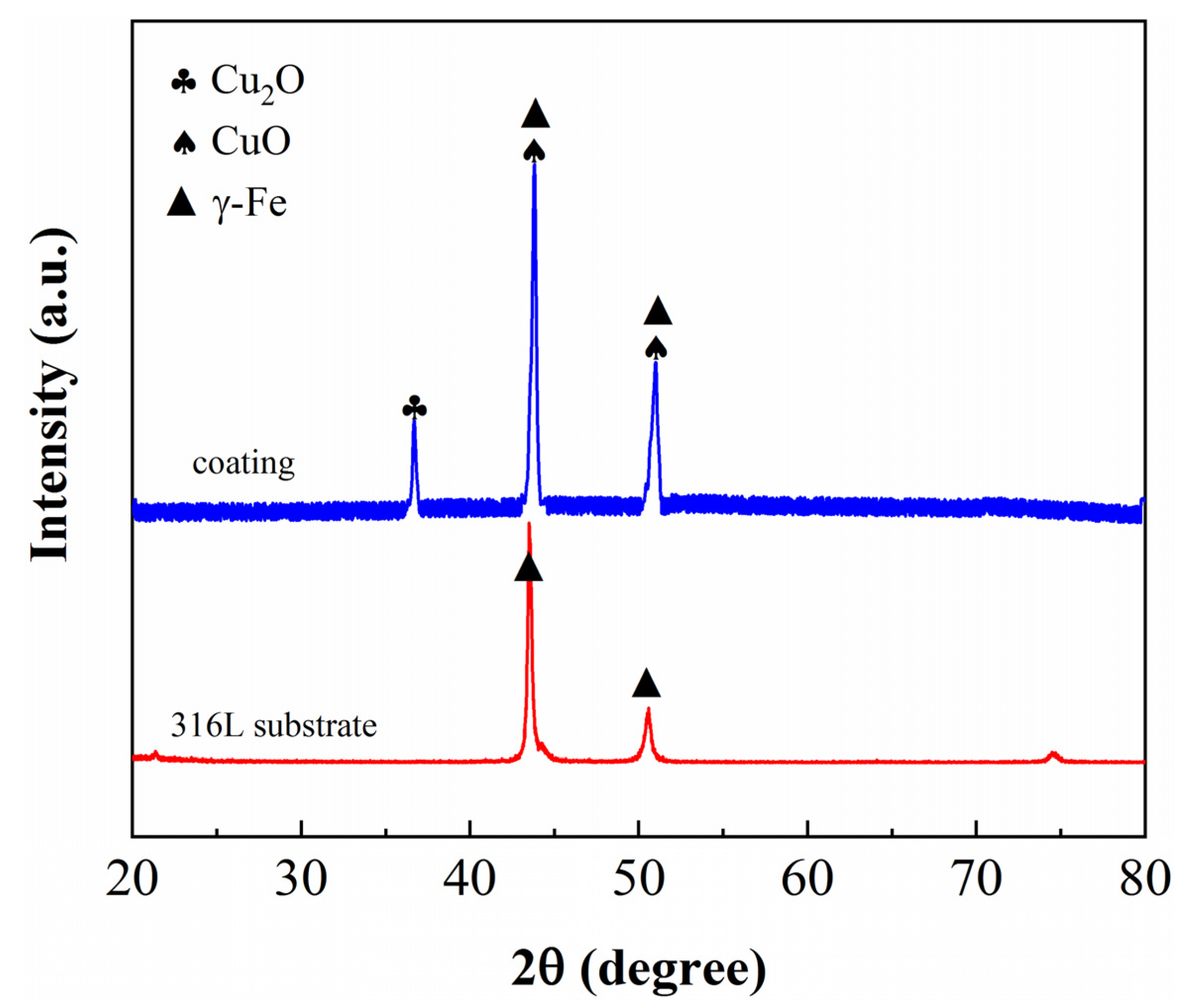 Coatings 13 00782 g002